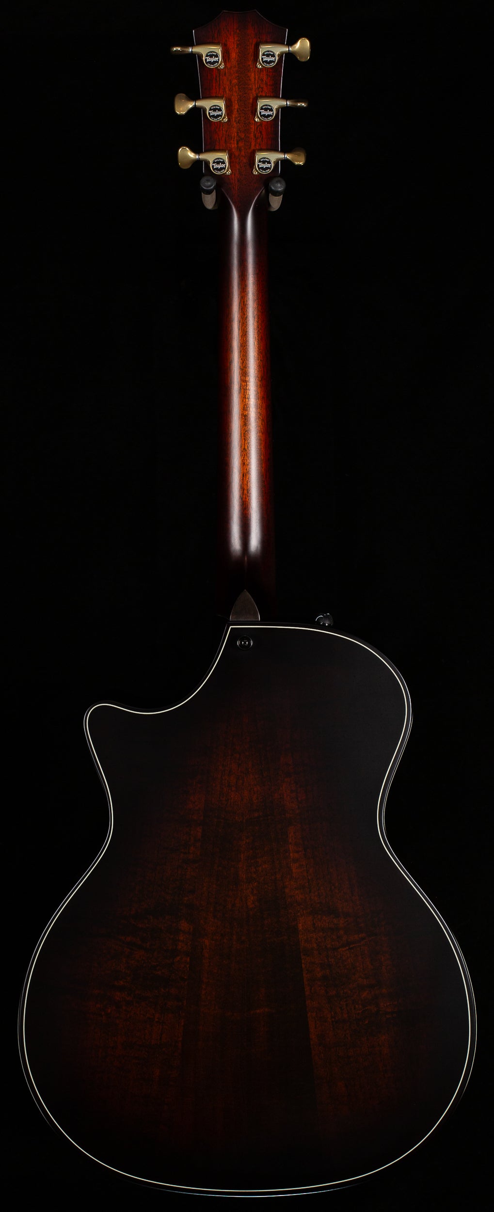 Taylor Builder&#39;s Edition 314ce LTD,Ash/Sitka 50th Natural Top (049)