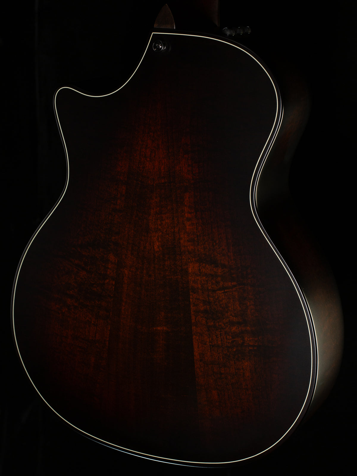 Taylor Builder&#39;s Edition 314ce LTD,Ash/Sitka 50th Natural Top (049)