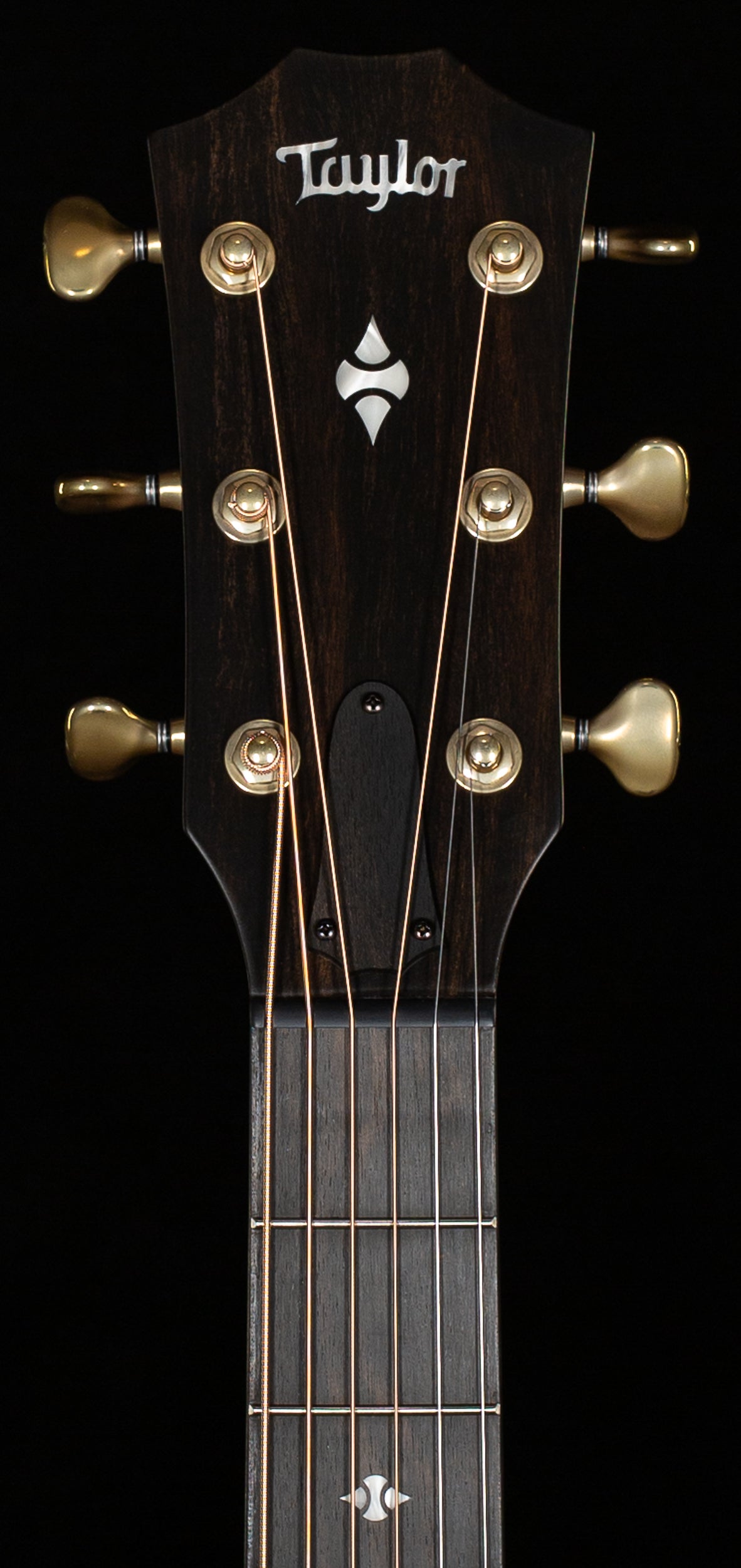 Taylor Builder&#39;s Edition 314ce LTD,Ash/Sitka 50th Natural Top (049)