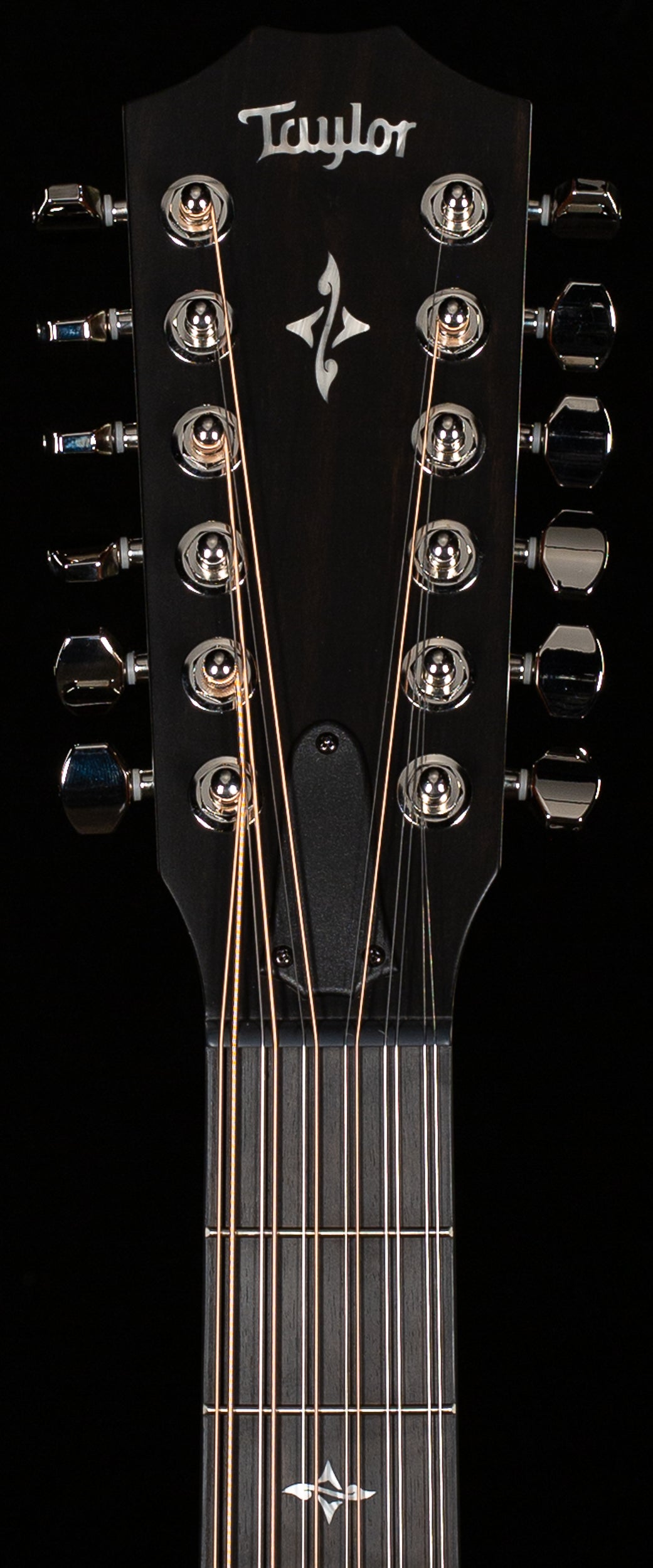 Taylor 454ce 12-String Grand Auditorium Indian Rosewood (046)