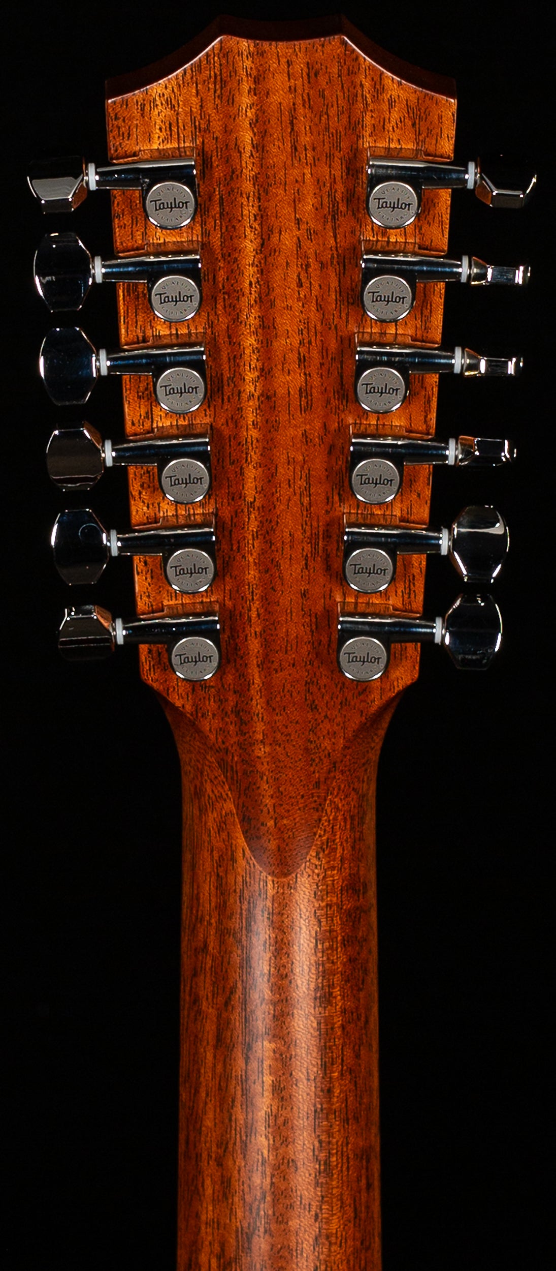 Taylor 454ce 12-String Grand Auditorium Indian Rosewood (046)