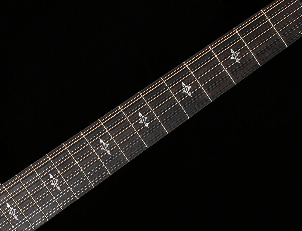 Taylor 454ce 12-String Grand Auditorium Indian Rosewood (046)