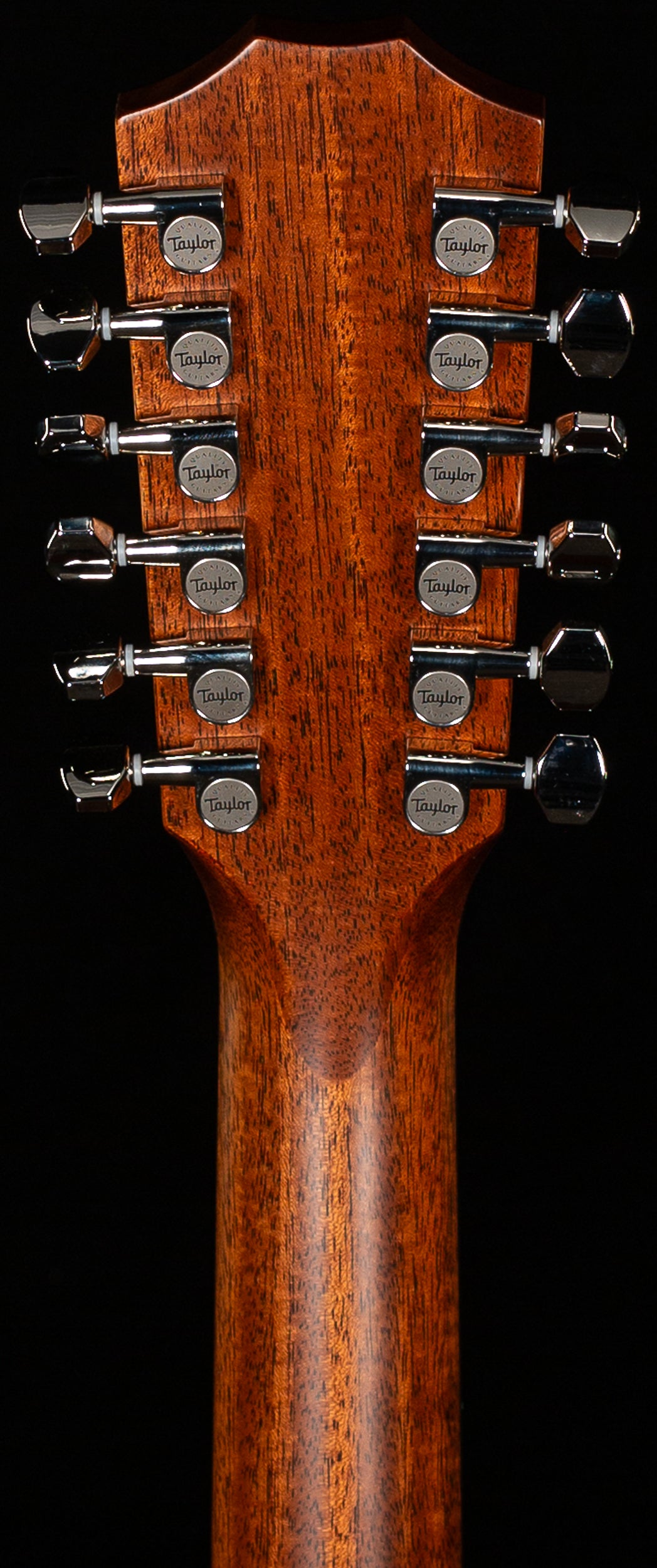 Taylor 354ce Sapele/Sitka (072)