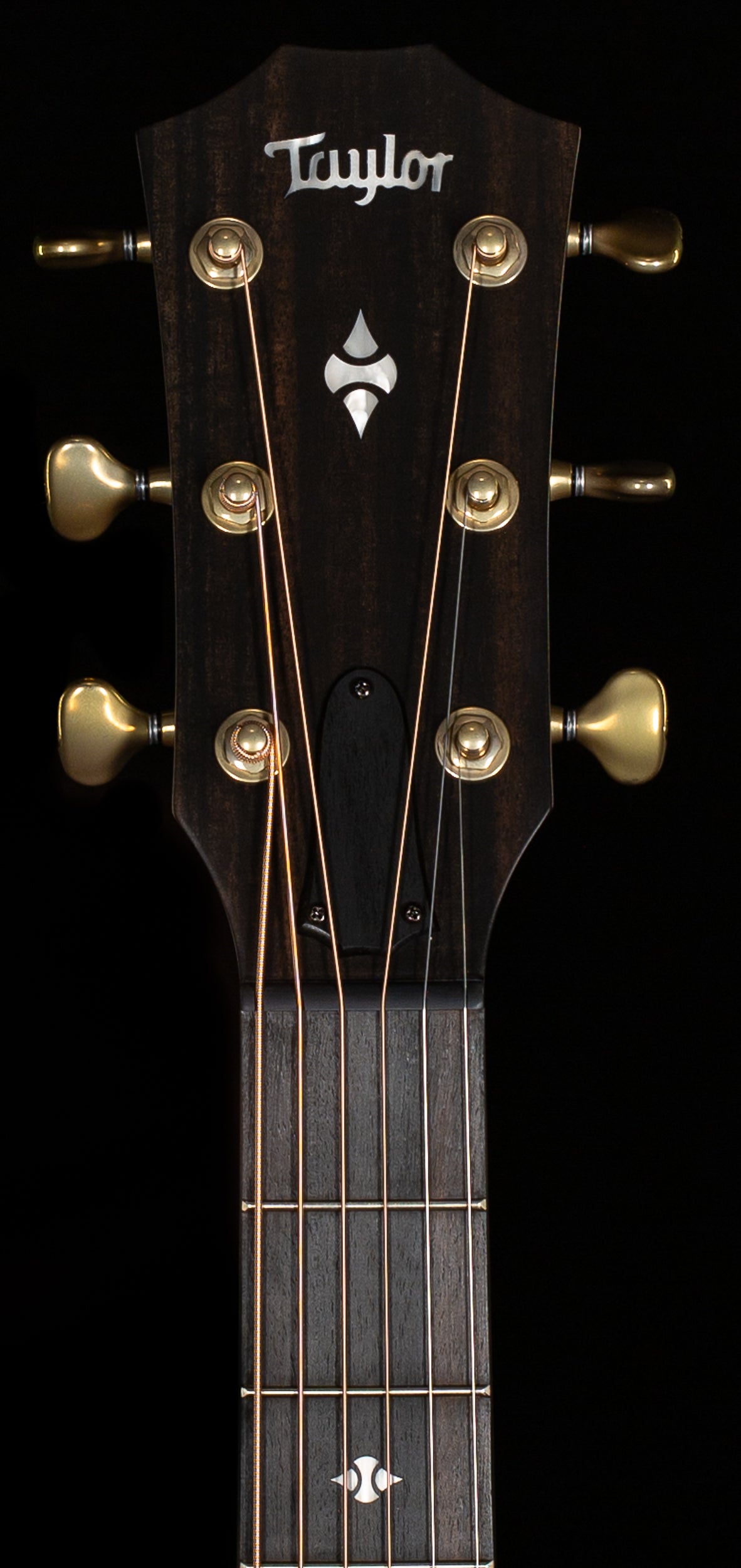 Taylor Builder&#39;s Edition 314ce LTD Ash/Sitka 50th Anniversary Kona Burst Top (075)