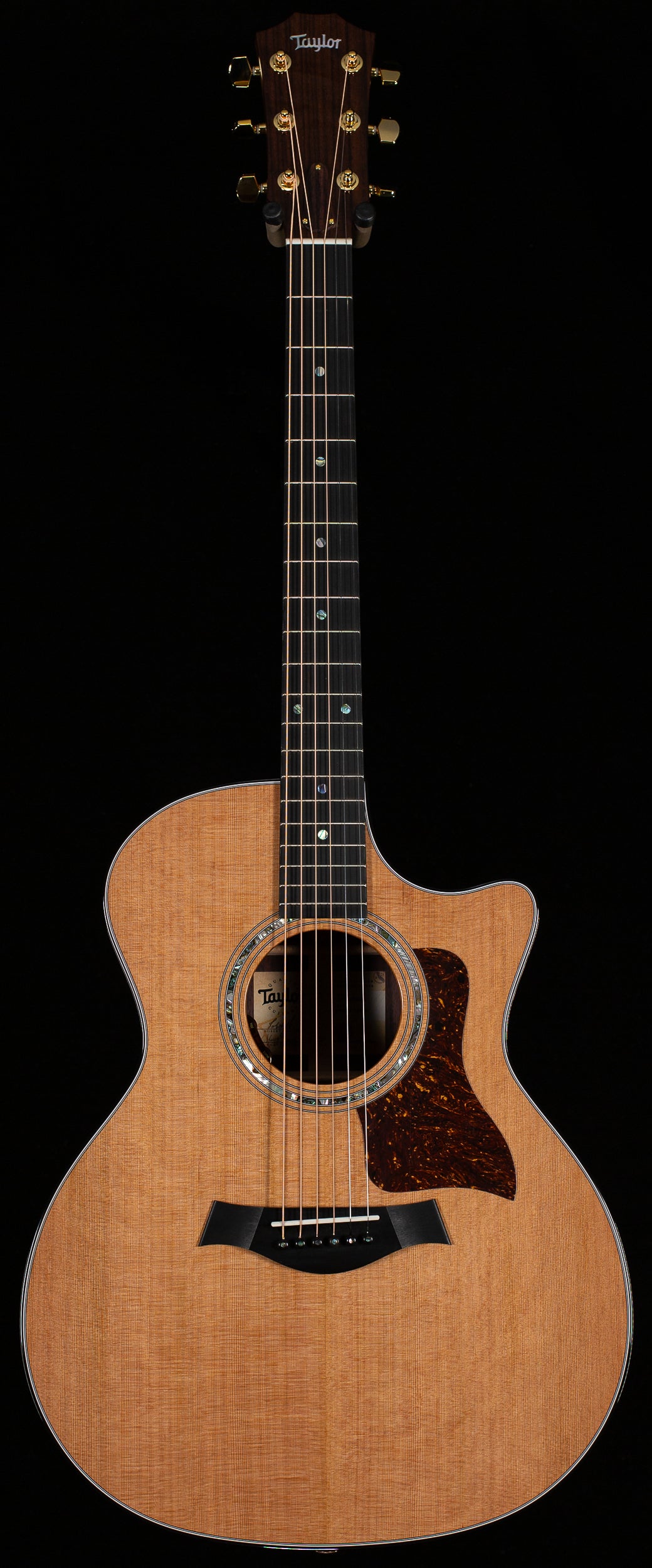 Taylor Legacy 714ce Indian Rosewood/Cedar (024)