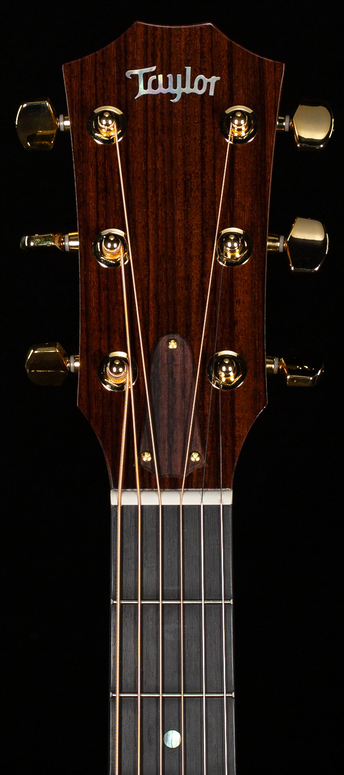 Taylor Legacy 714ce Indian Rosewood/Cedar (024)