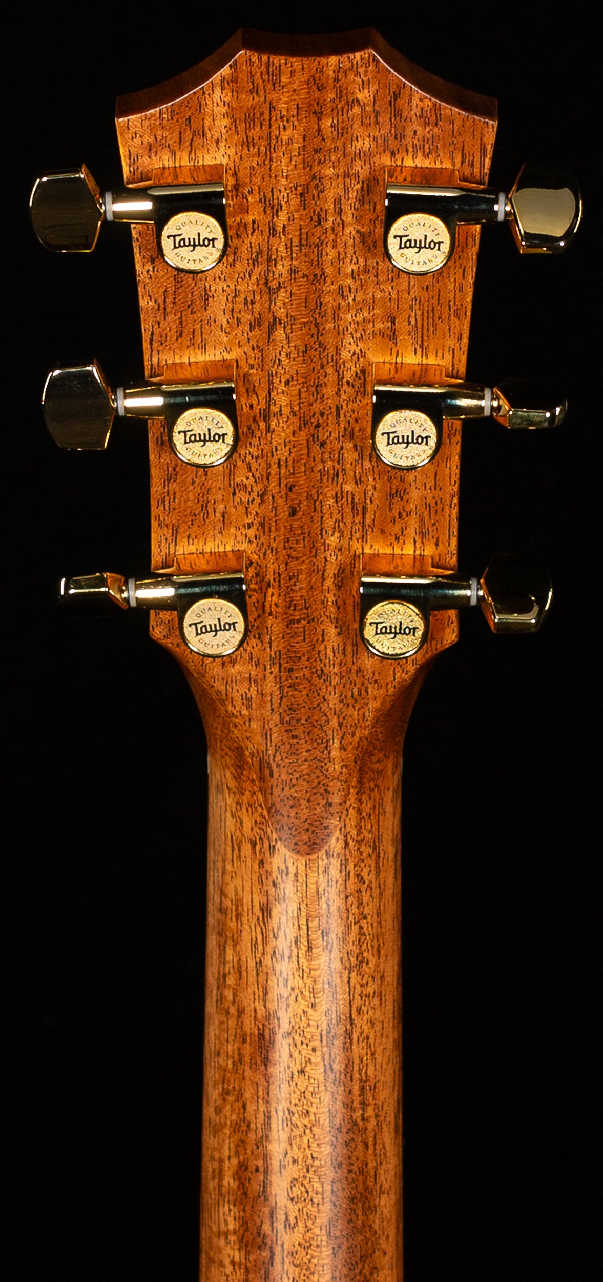 Taylor Legacy 714ce Indian Rosewood/Cedar (024)