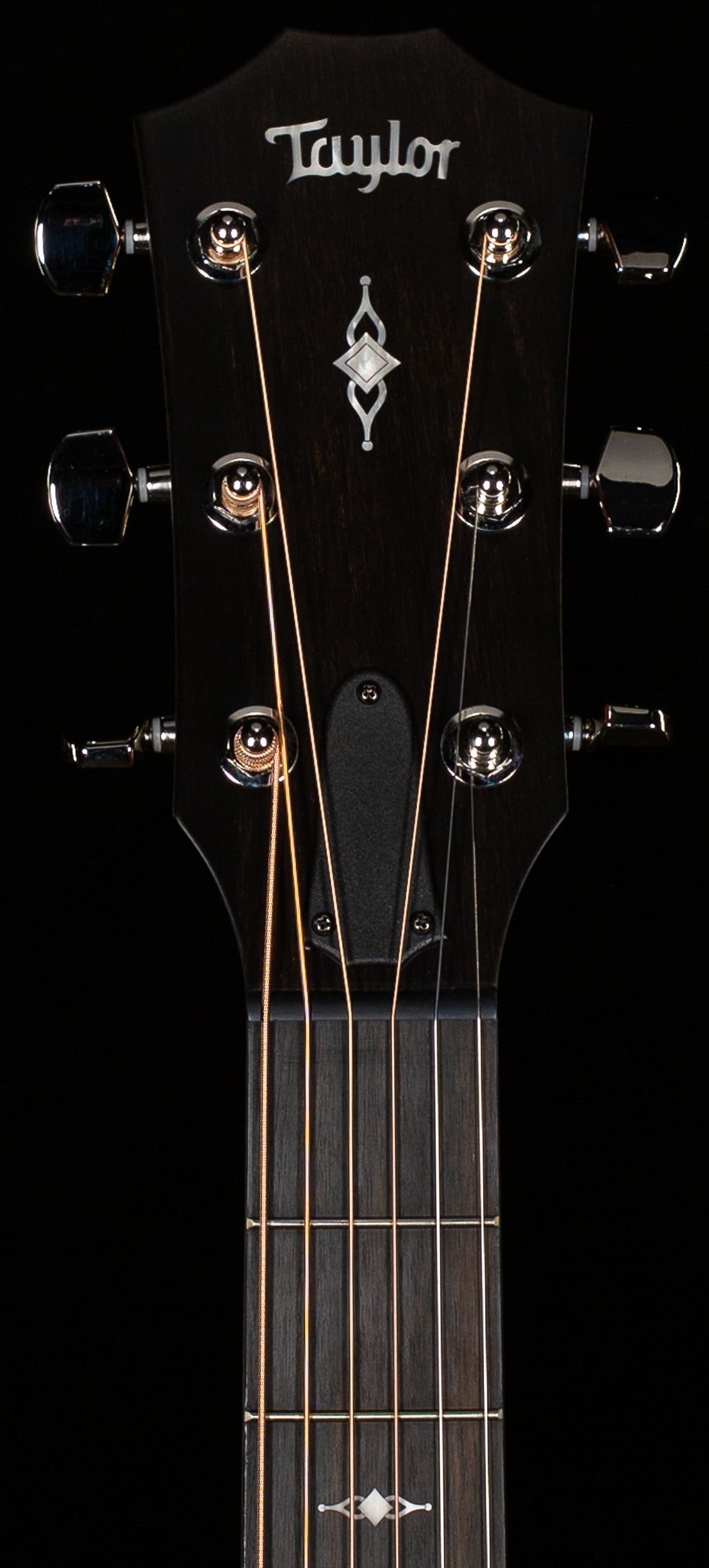 Taylor 314ce Grand Auditorium Sapele (023)