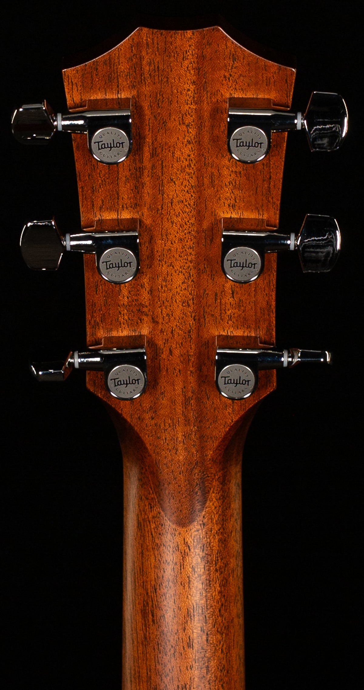 Taylor 314ce Grand Auditorium Sapele (023)