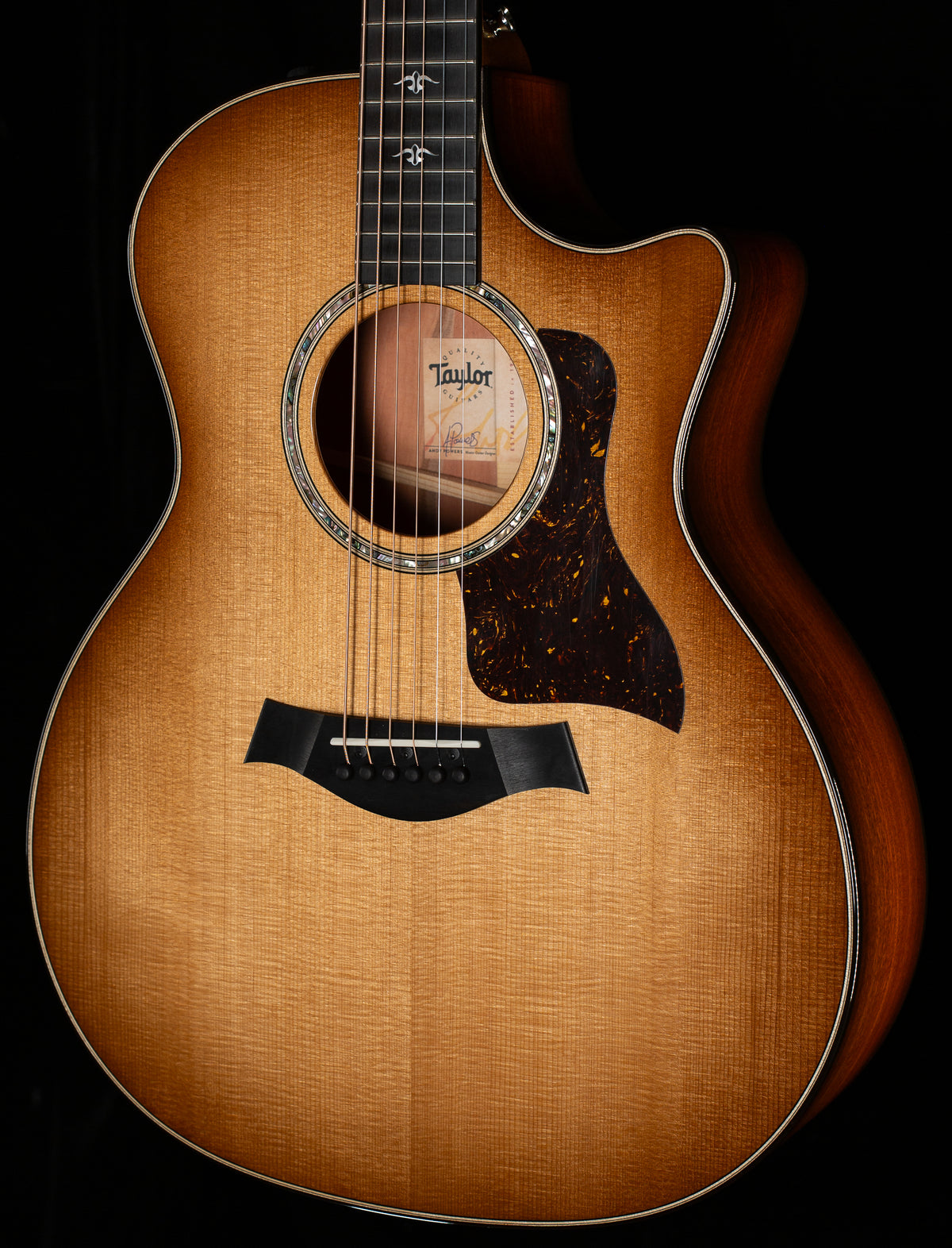 Taylor 514ce Urban Ironbark/Torrefied Sitka (008)