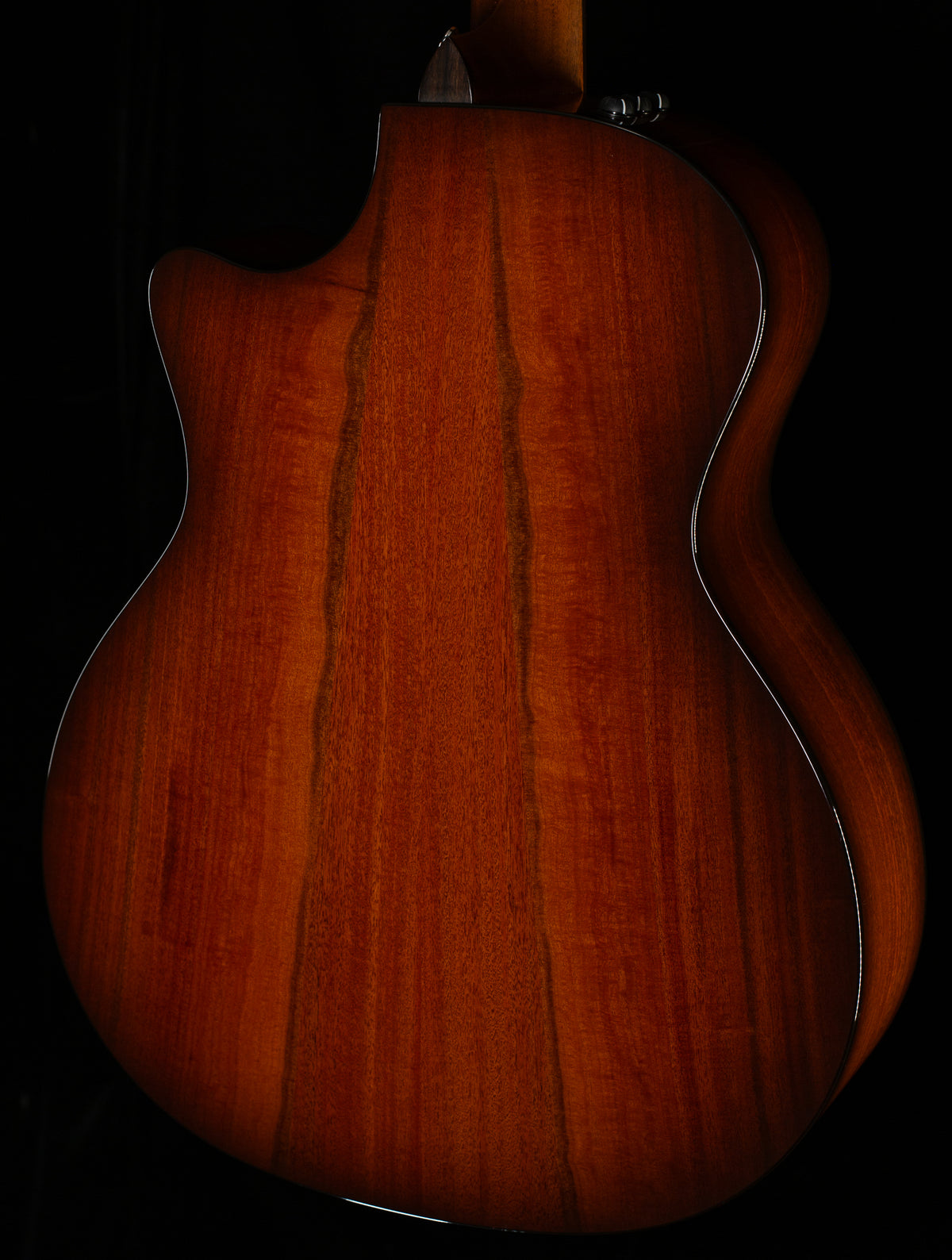 Taylor 514ce Urban Ironbark/Torrefied Sitka (008)