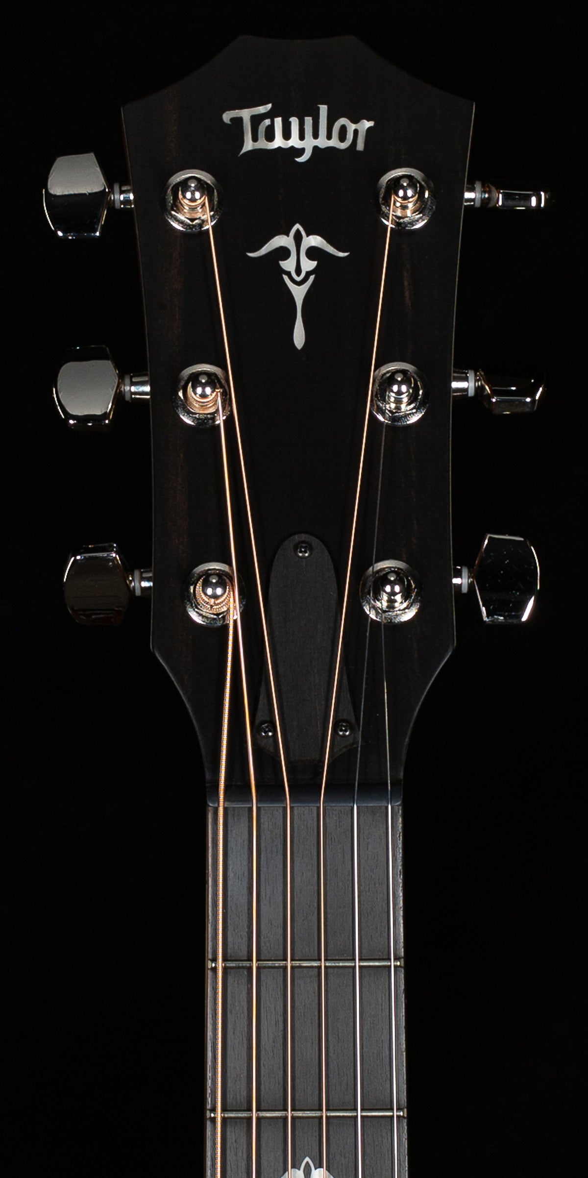 Taylor 514ce Urban Ironbark/Torrefied Sitka (008)