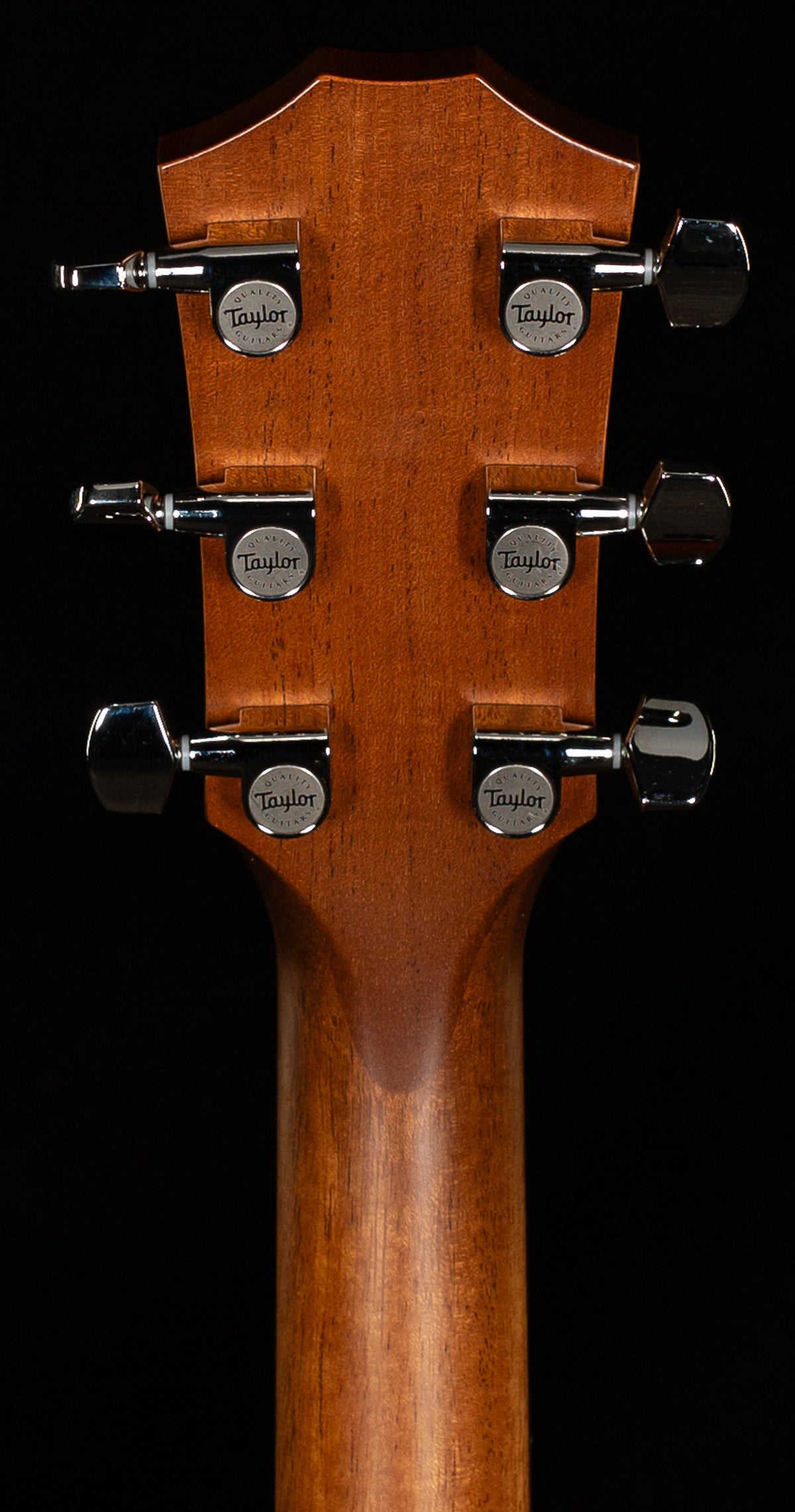 Taylor 514ce Urban Ironbark/Torrefied Sitka (008)
