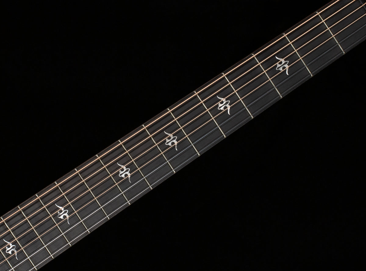 Taylor 514ce Urban Ironbark/Torrefied Sitka (008)