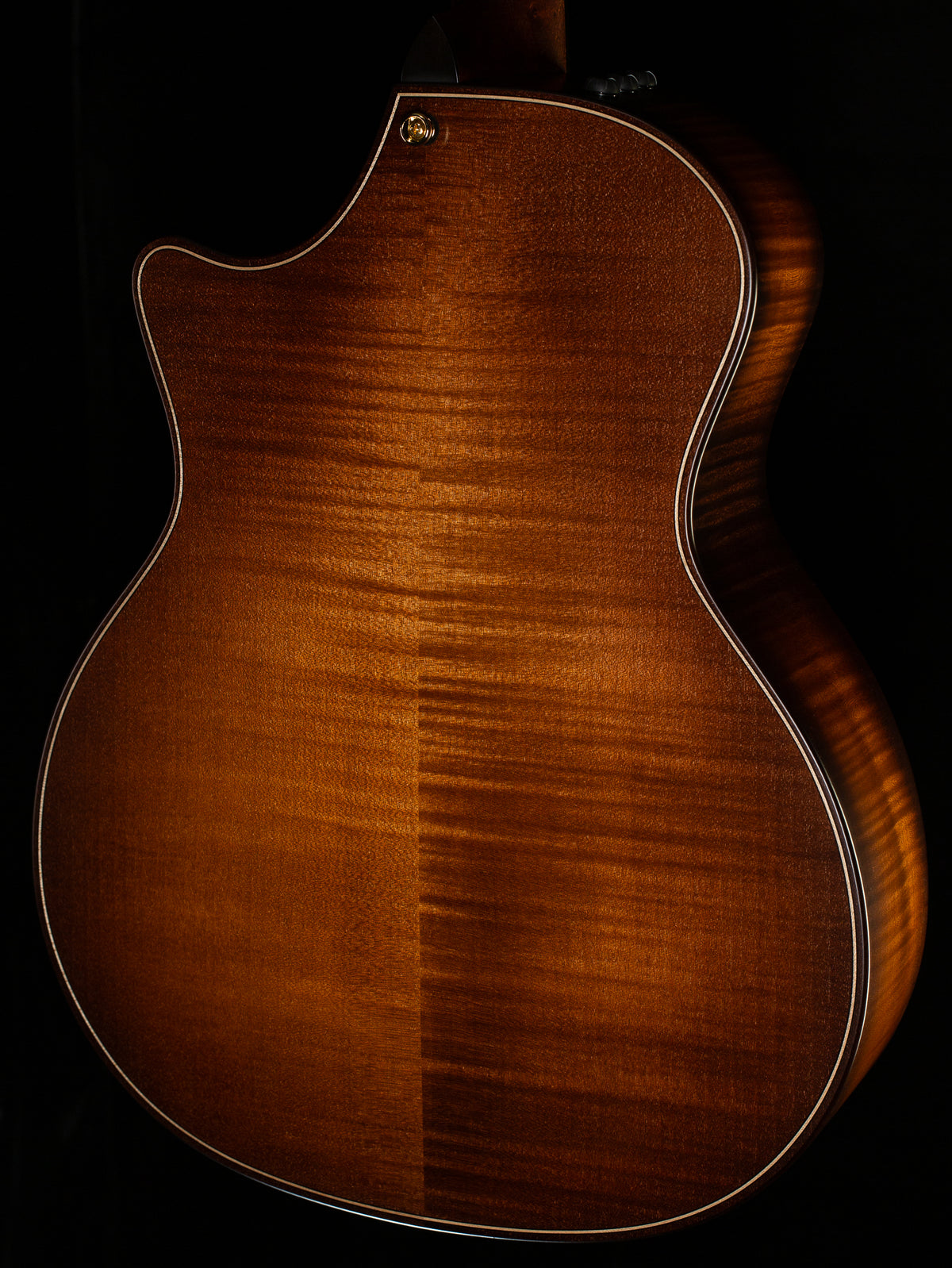 Taylor Builder's Edition 614ce Wild Honey Burst (121)