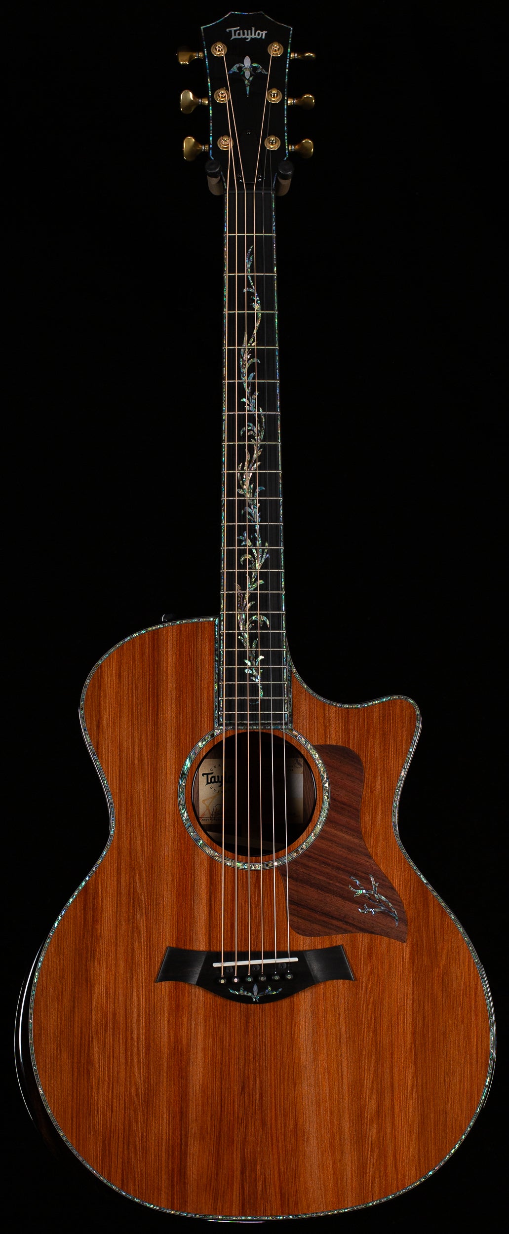 Taylor Presentation Series Grand Auditorium PS14ce Honduran Rosewood/Sinker Redwood, V-Class Bracing (077)