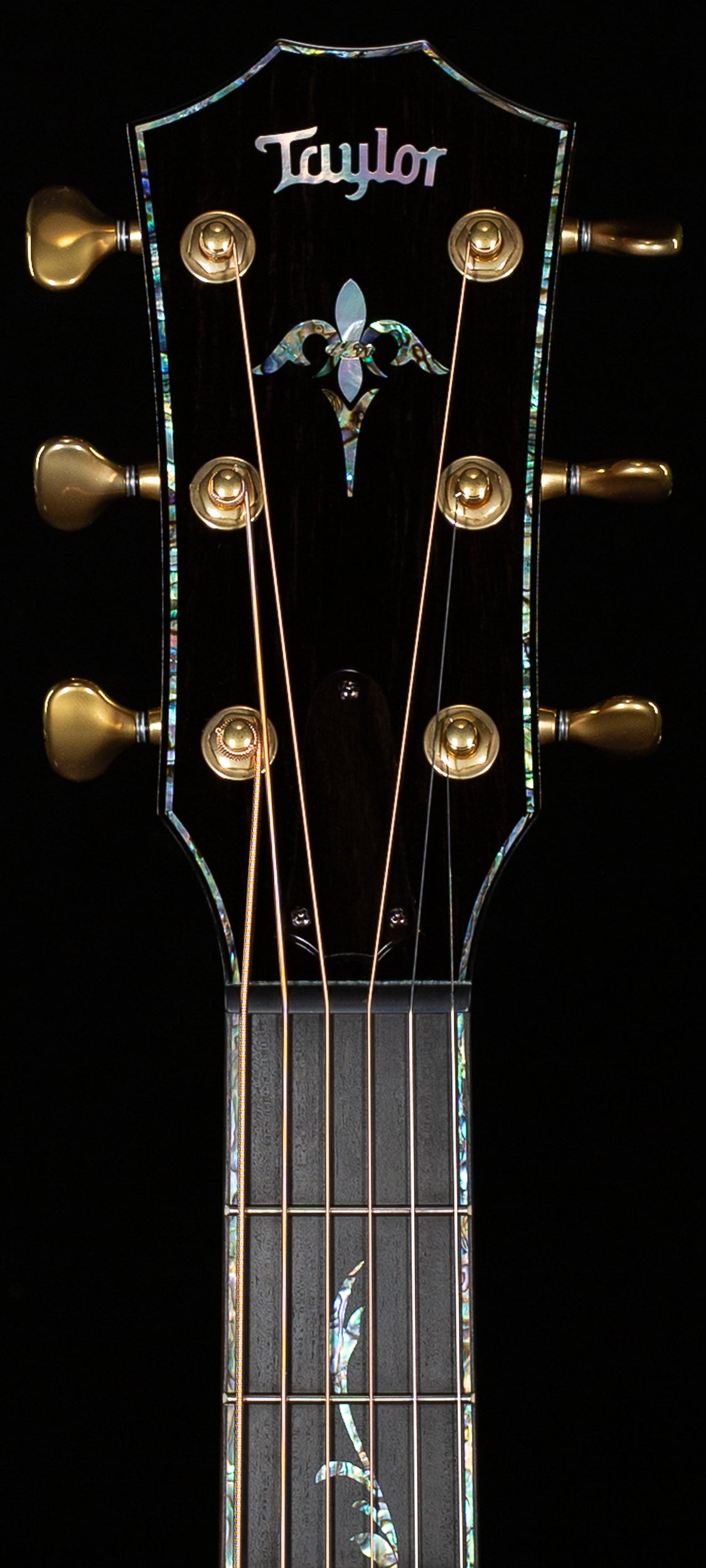 Taylor Presentation Series Grand Auditorium PS14ce Honduran Rosewood/Sinker Redwood, V-Class Bracing (077)