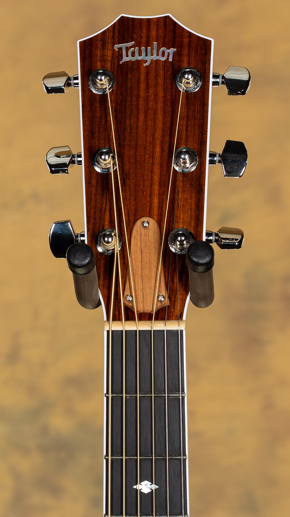 2025 Taylor Legacy 810e