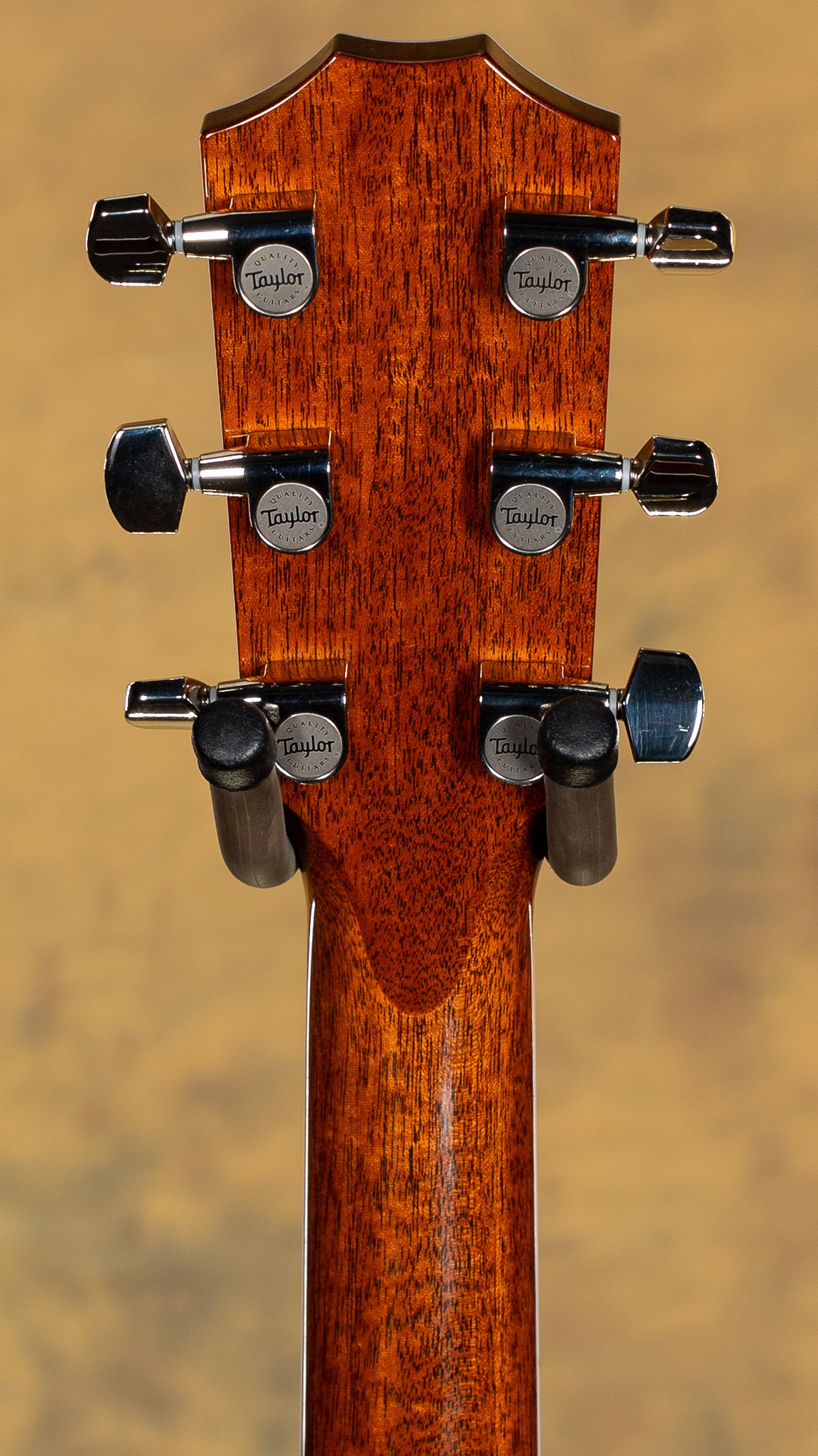 2025 Taylor Legacy 810e