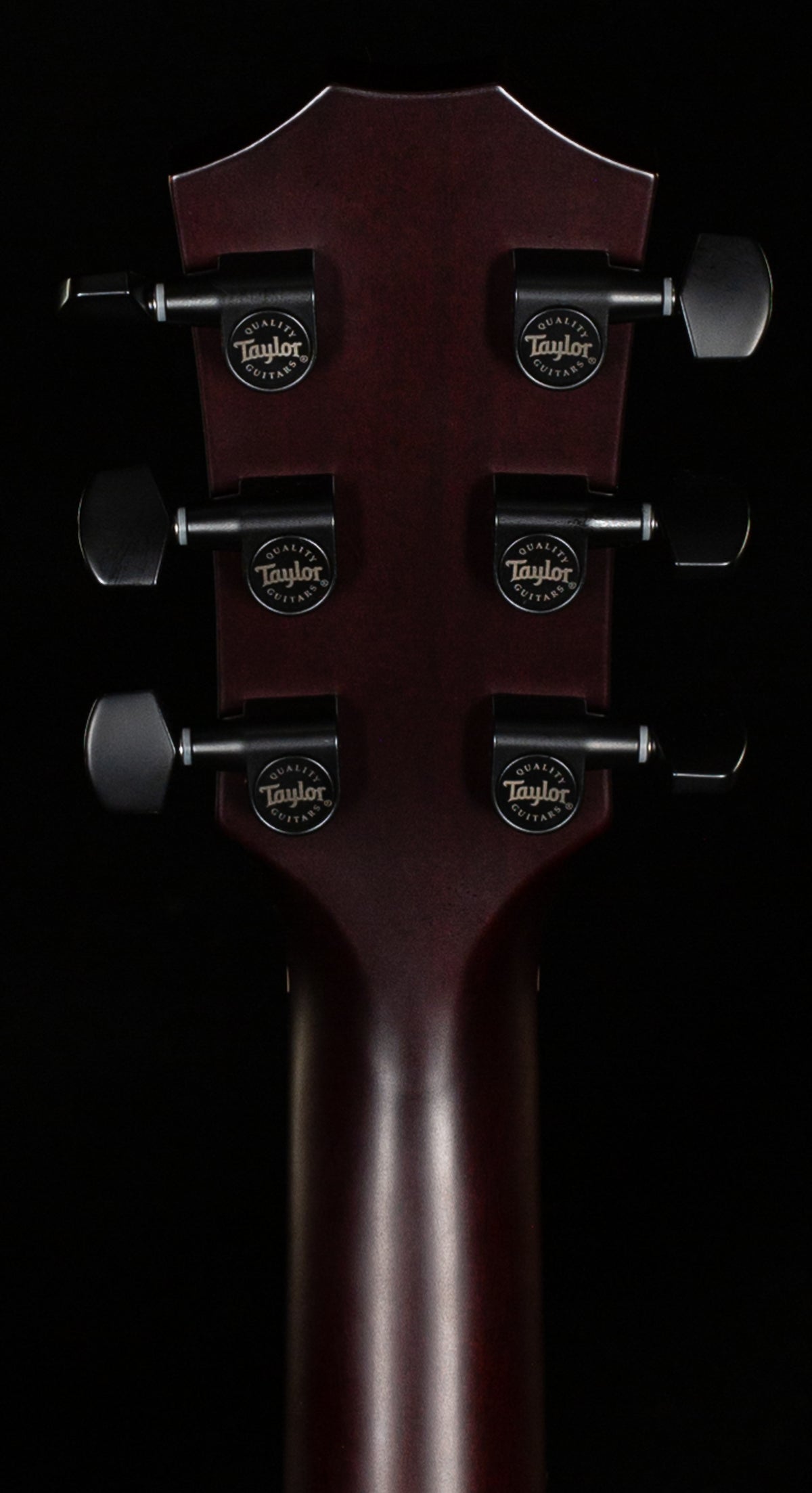 Taylor T5z Classic Koa Top (141)