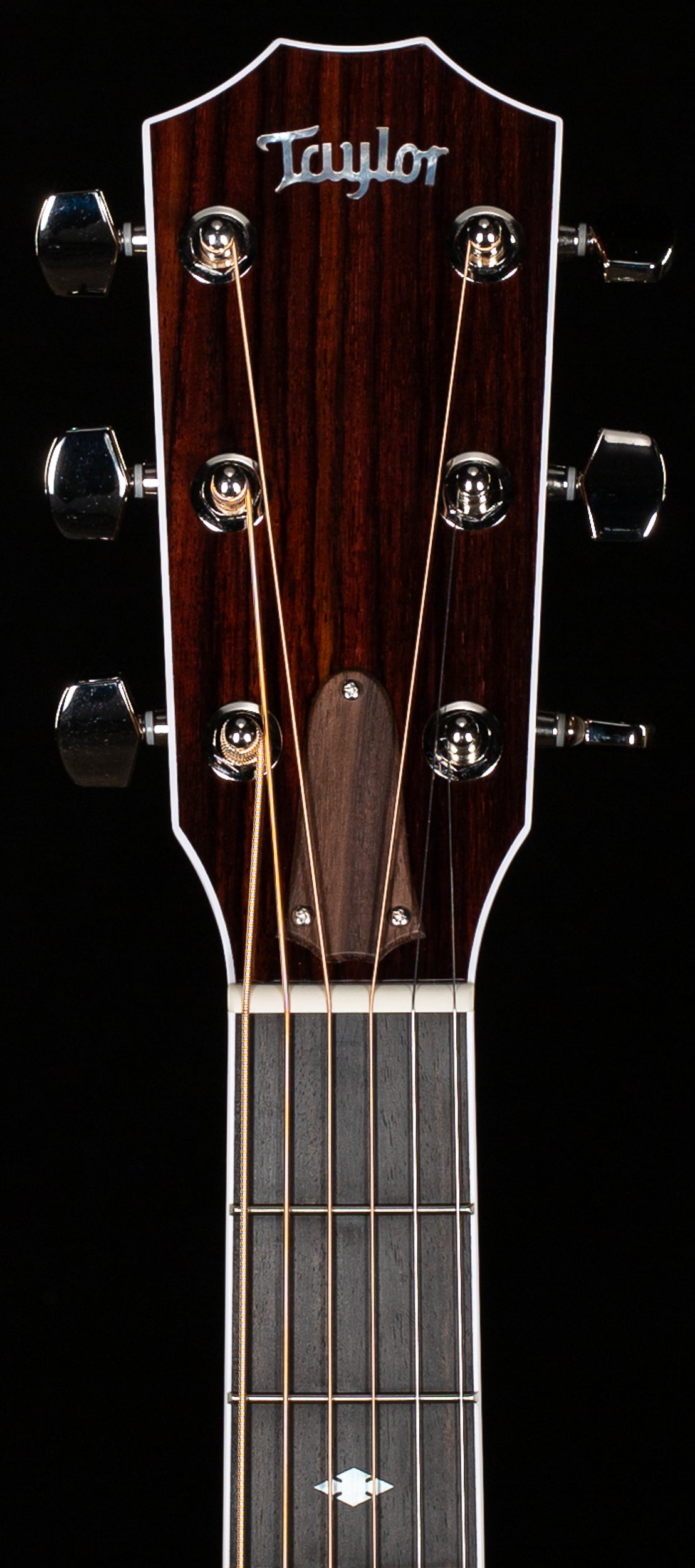 Taylor Legacy 810e Indian Rosewood/Sitka (016)