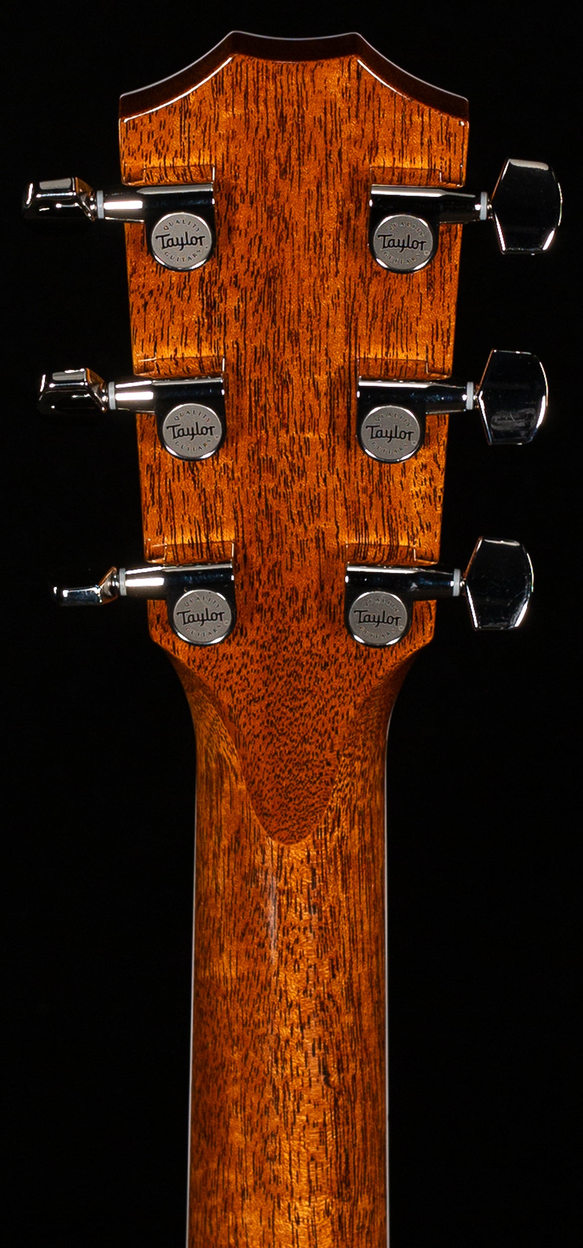 Taylor Legacy 810e Indian Rosewood/Sitka (016)