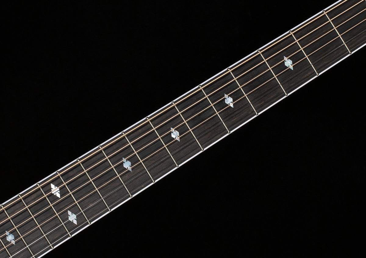 Taylor Legacy 810e Indian Rosewood/Sitka (016)