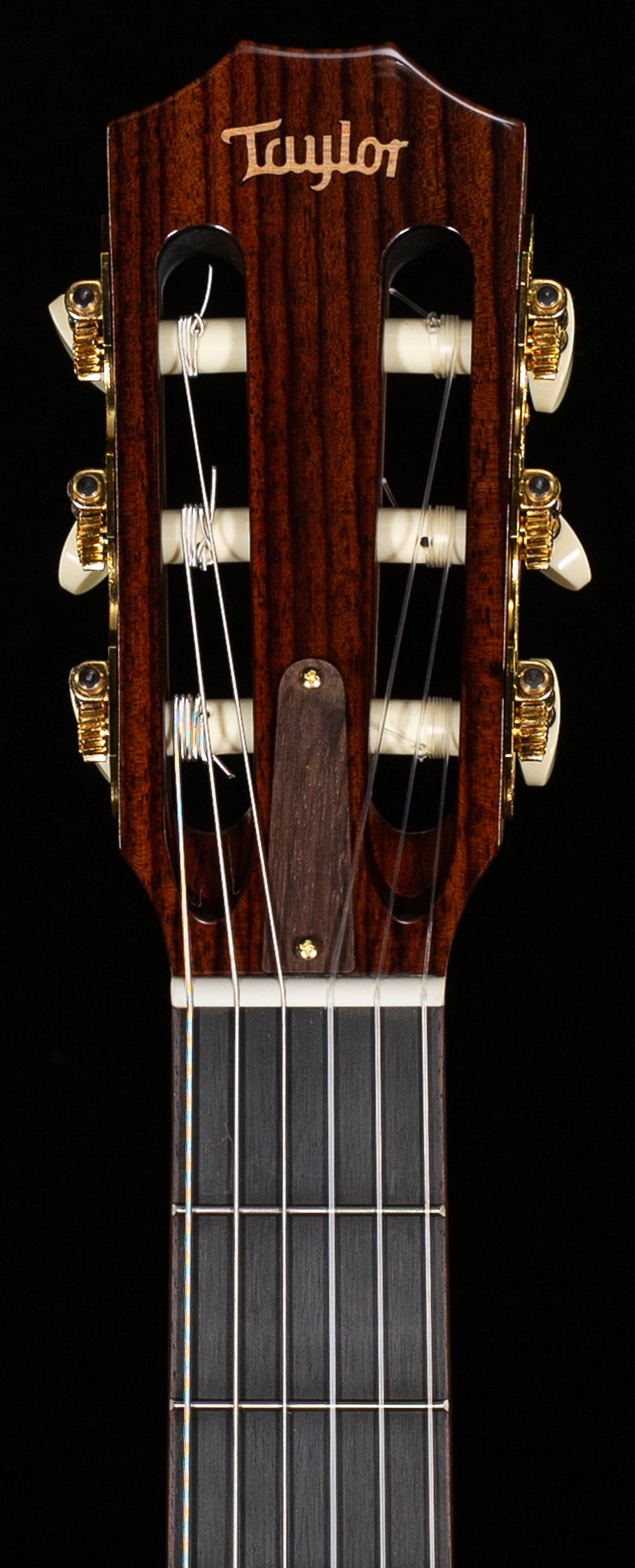 Taylor JMSM Jason Mraz Signature (017)