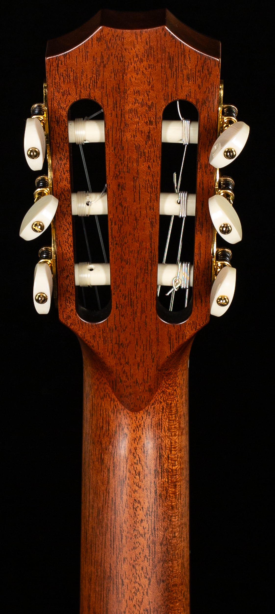 Taylor JMSM Jason Mraz Signature (017)