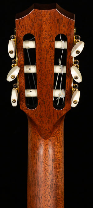 Taylor JMSM Jason Mraz Signature (017)