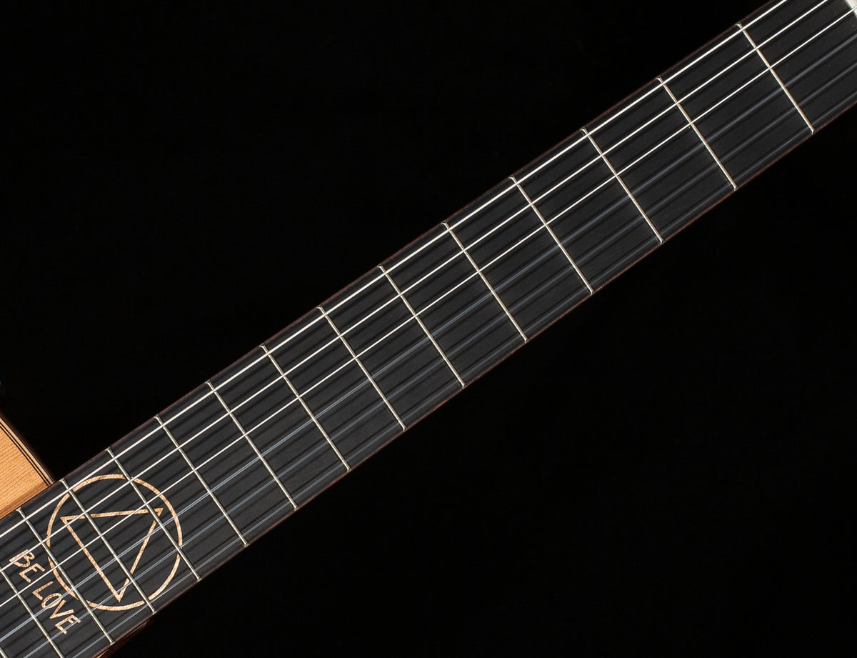 Taylor JMSM Jason Mraz Signature (017)