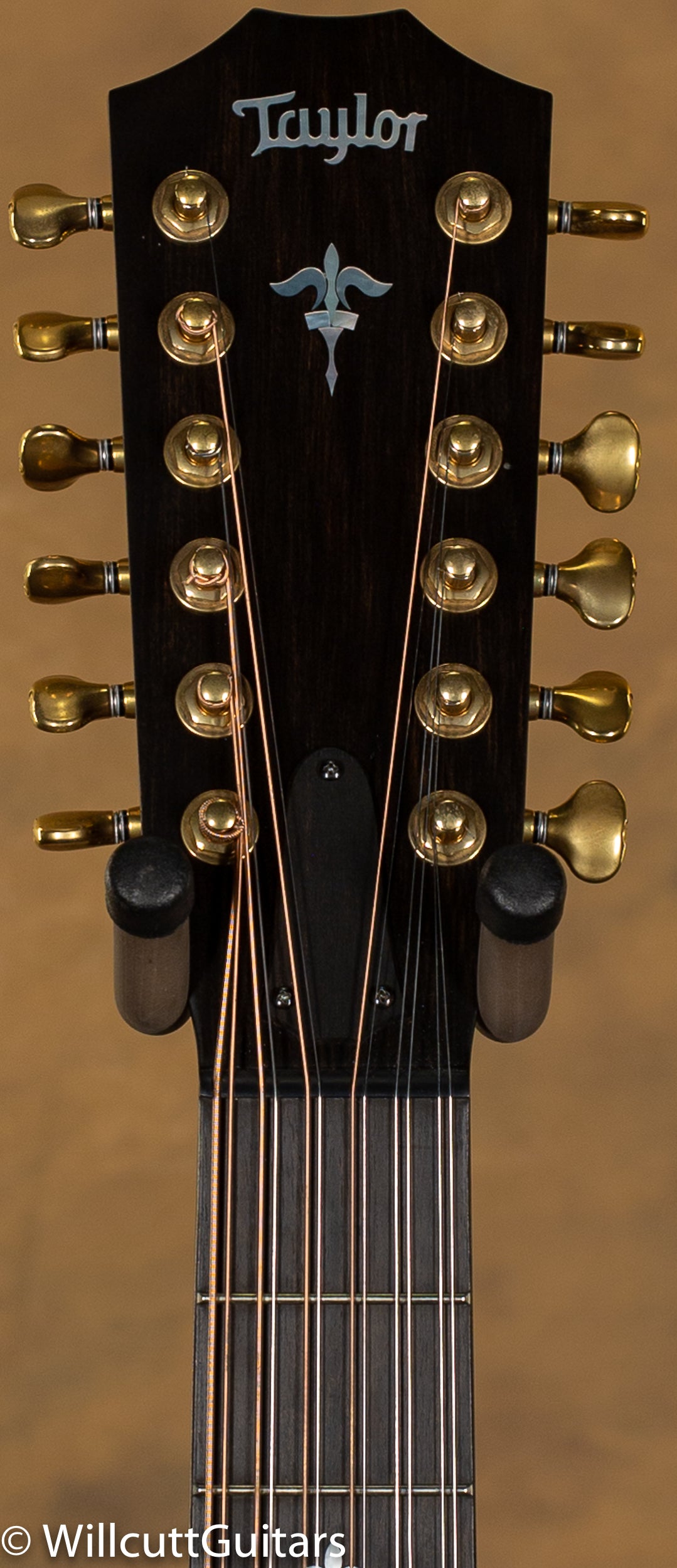 2021 Taylor 652ce Builders Edition