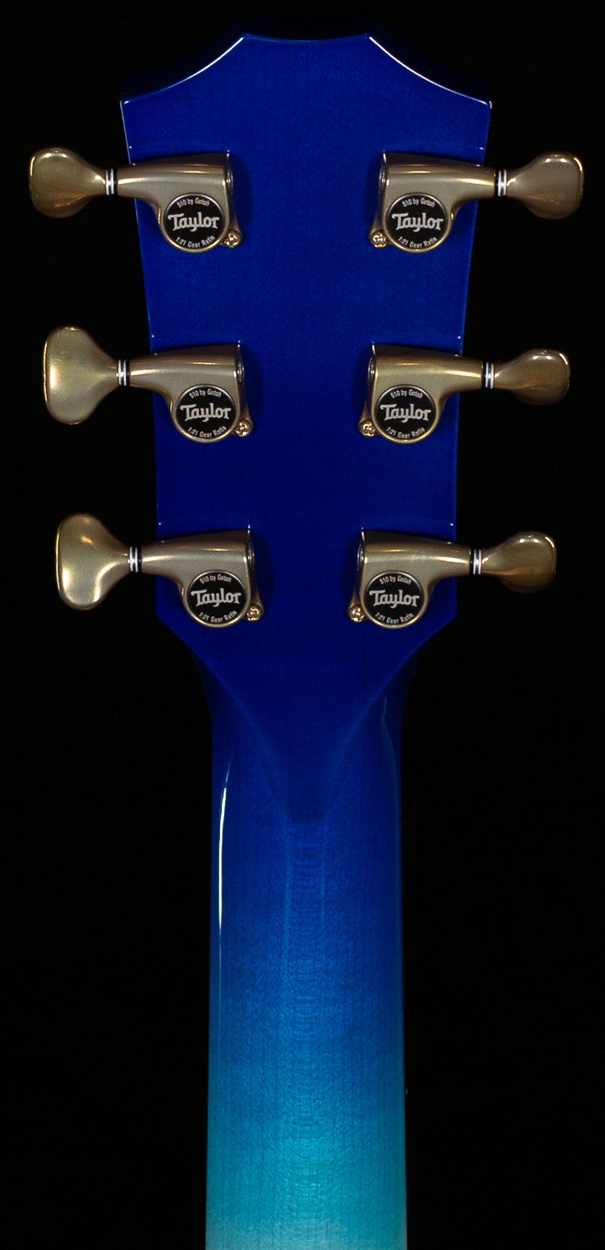 Taylor Custom Grand Concert 12-Fret Urban Ash Custom #5 (121)