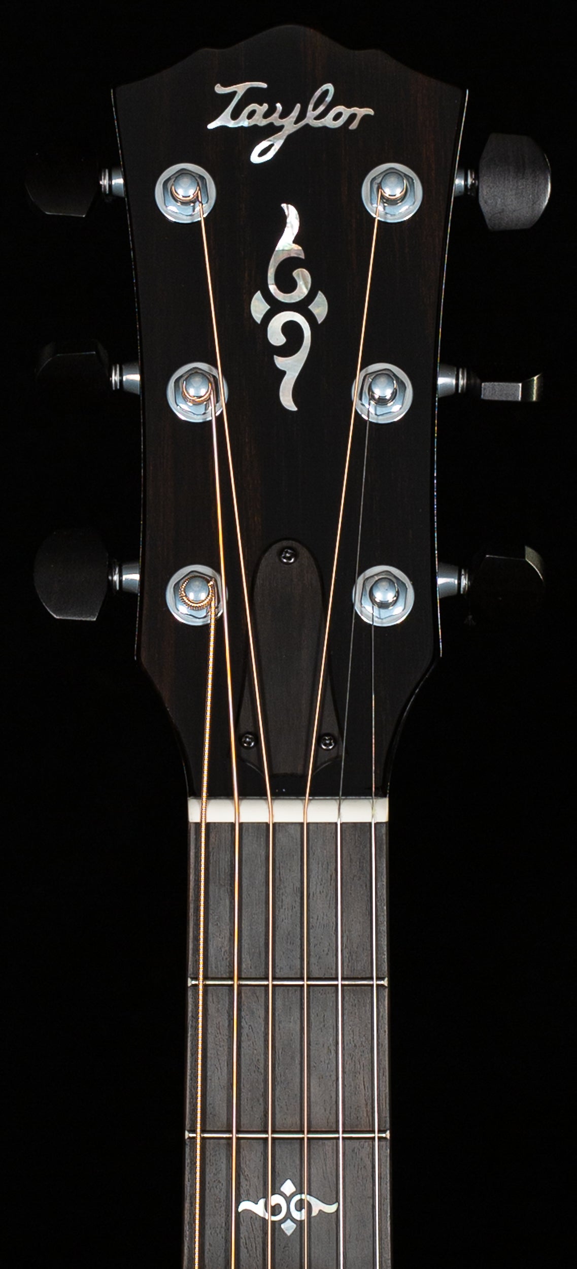 Taylor Gold Label 814e Honduran Rosewood/Torreified Sitka (045)