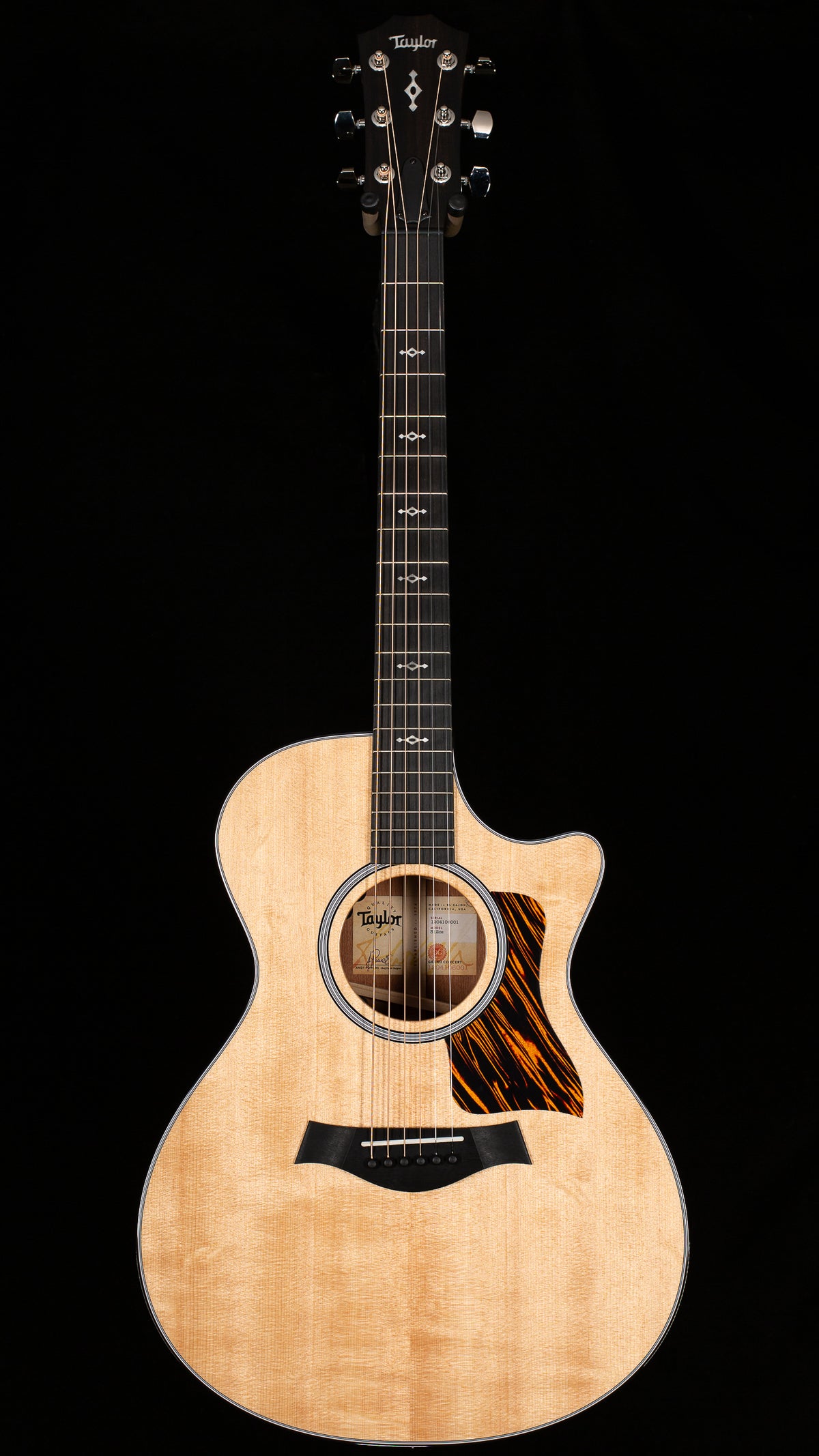 Taylor 312ce Spruce/Sapele (001)