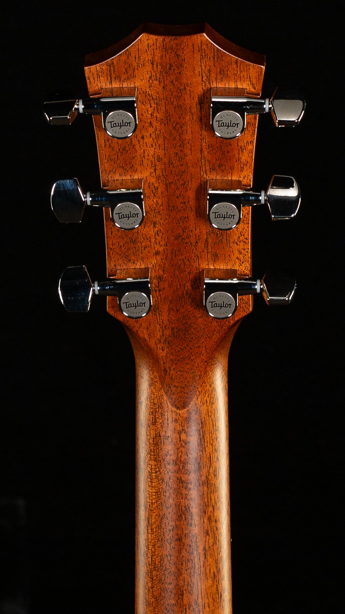Taylor 312ce Spruce/Sapele (001)