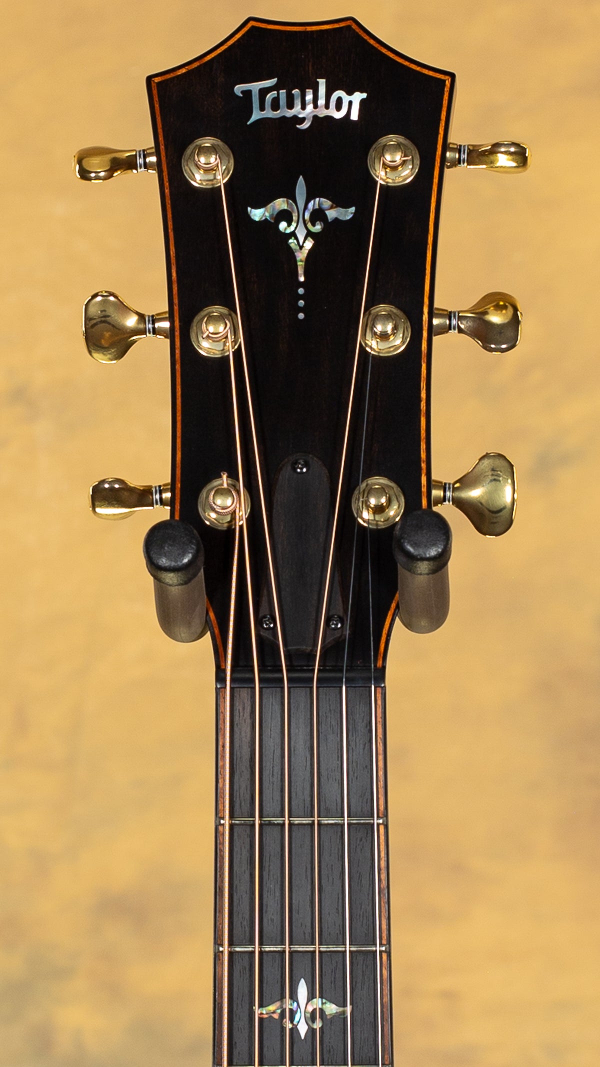 2021 Taylor Builder's Edition 912ce Grand Concert Wild Honey