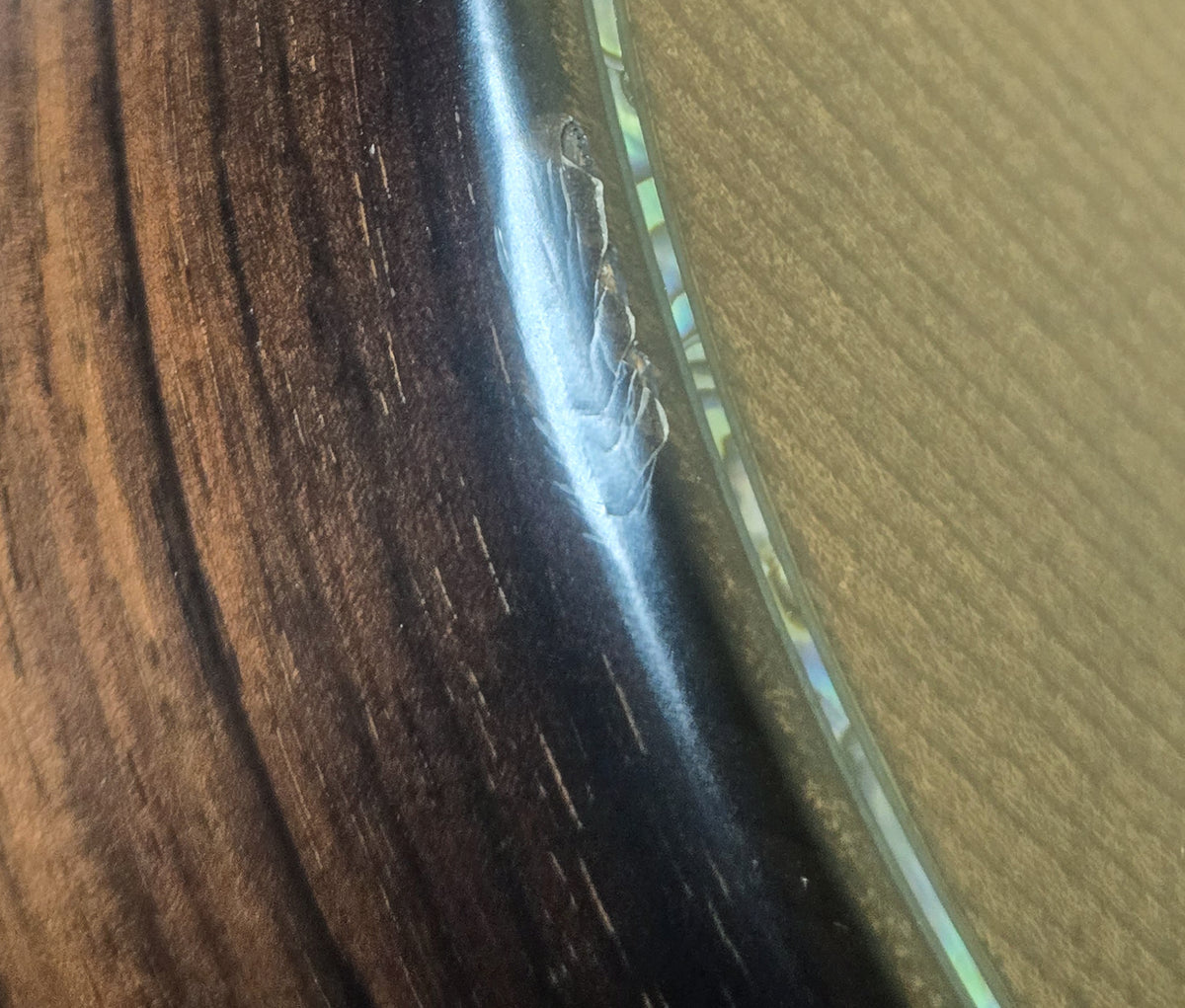 2021 Taylor Builder's Edition 912ce Grand Concert Wild Honey
