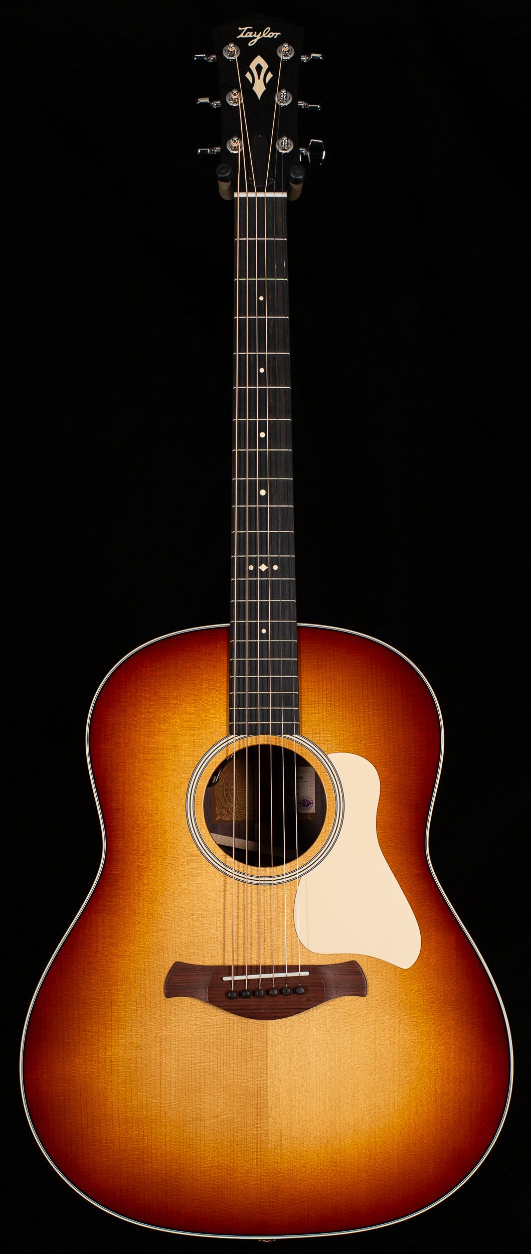 Taylor Gold Label 717e SB Indian Rosewood/Torrefied Sitka (082)