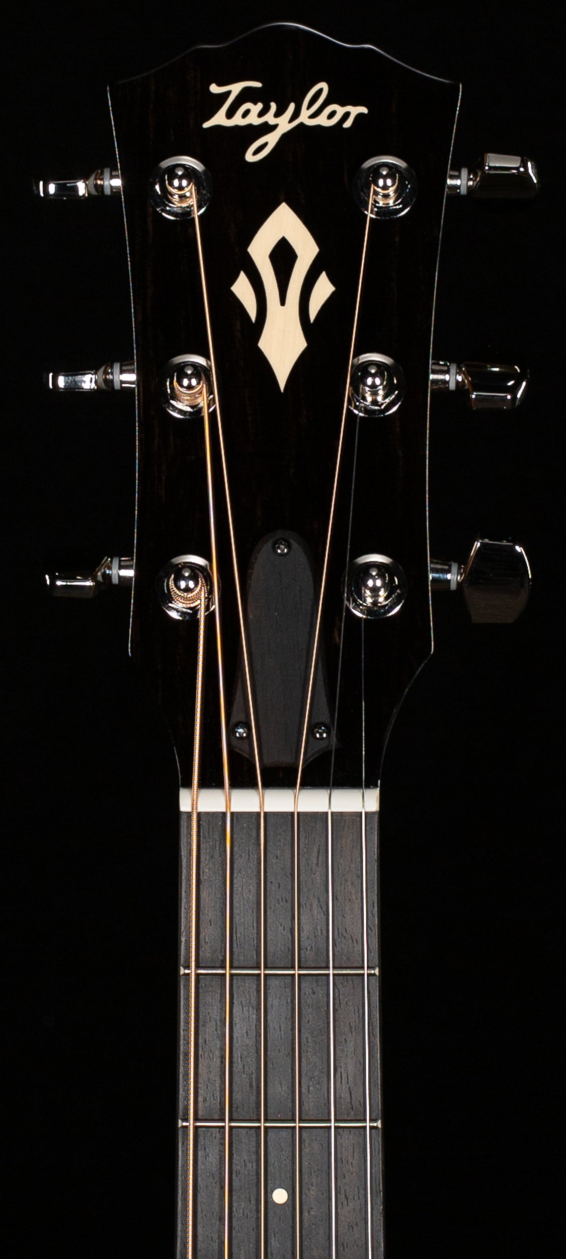 Taylor Gold Label 717e SB Indian Rosewood/Torrefied Sitka (082)