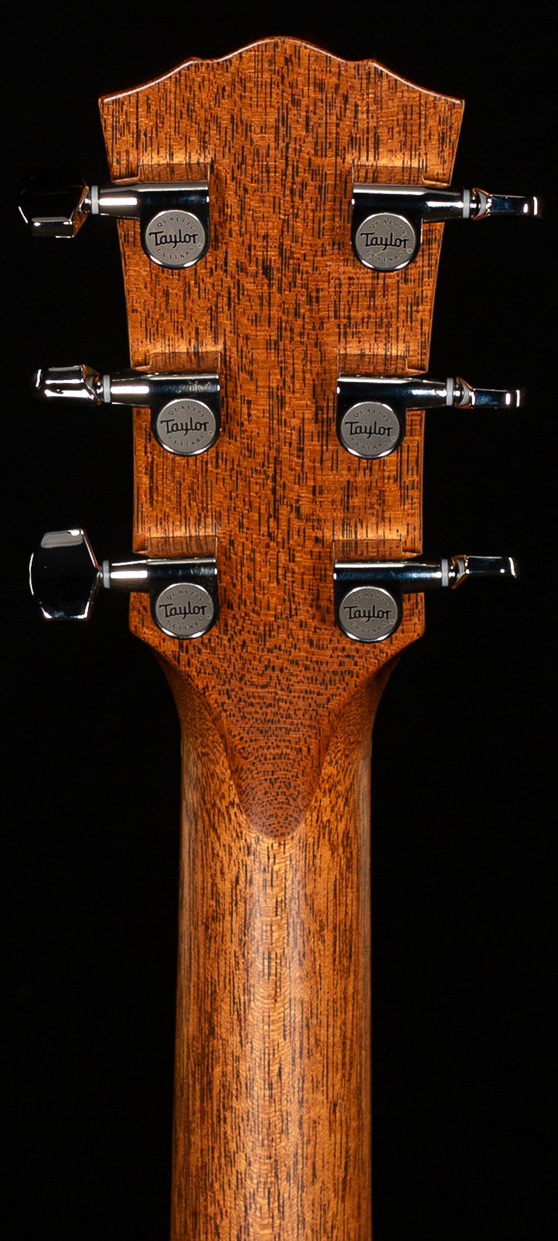 Taylor Gold Label 717e SB Indian Rosewood/Torrefied Sitka (082)