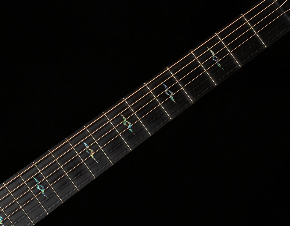 Taylor Next Generation K24ce Special Edition (039)