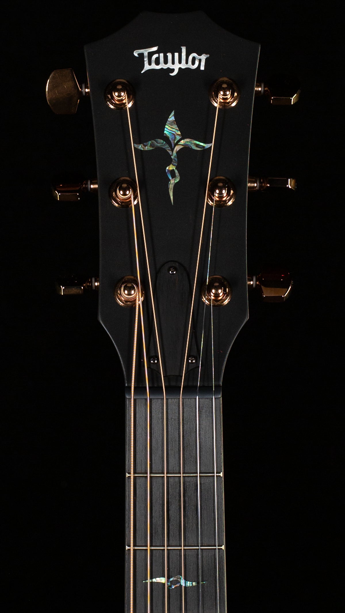 Taylor Next Generation K24ce Special Edition (039)