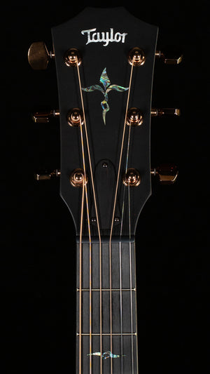 Taylor Next Generation K24ce Special Edition (039)