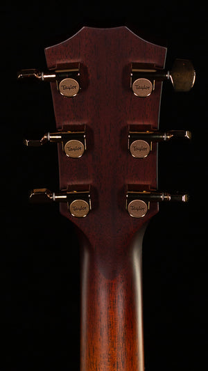 Taylor Next Generation K24ce Special Edition (039)