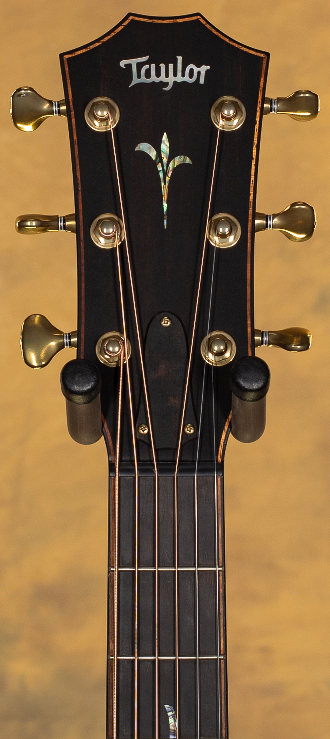 2020 Taylor Builders Edition K14ce