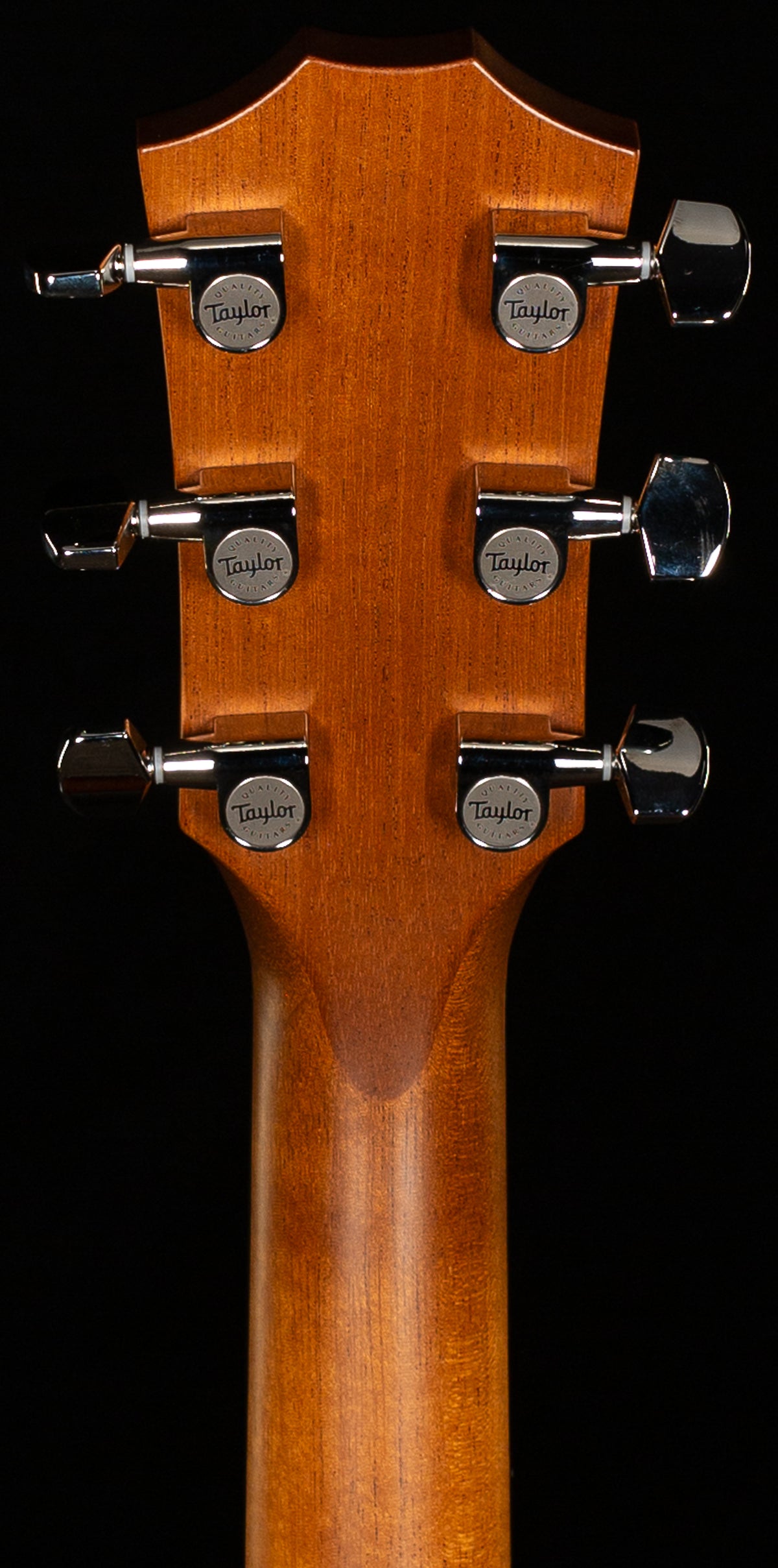 Taylor 514ce Urban Ironbark/Torrefied Sitka (067)