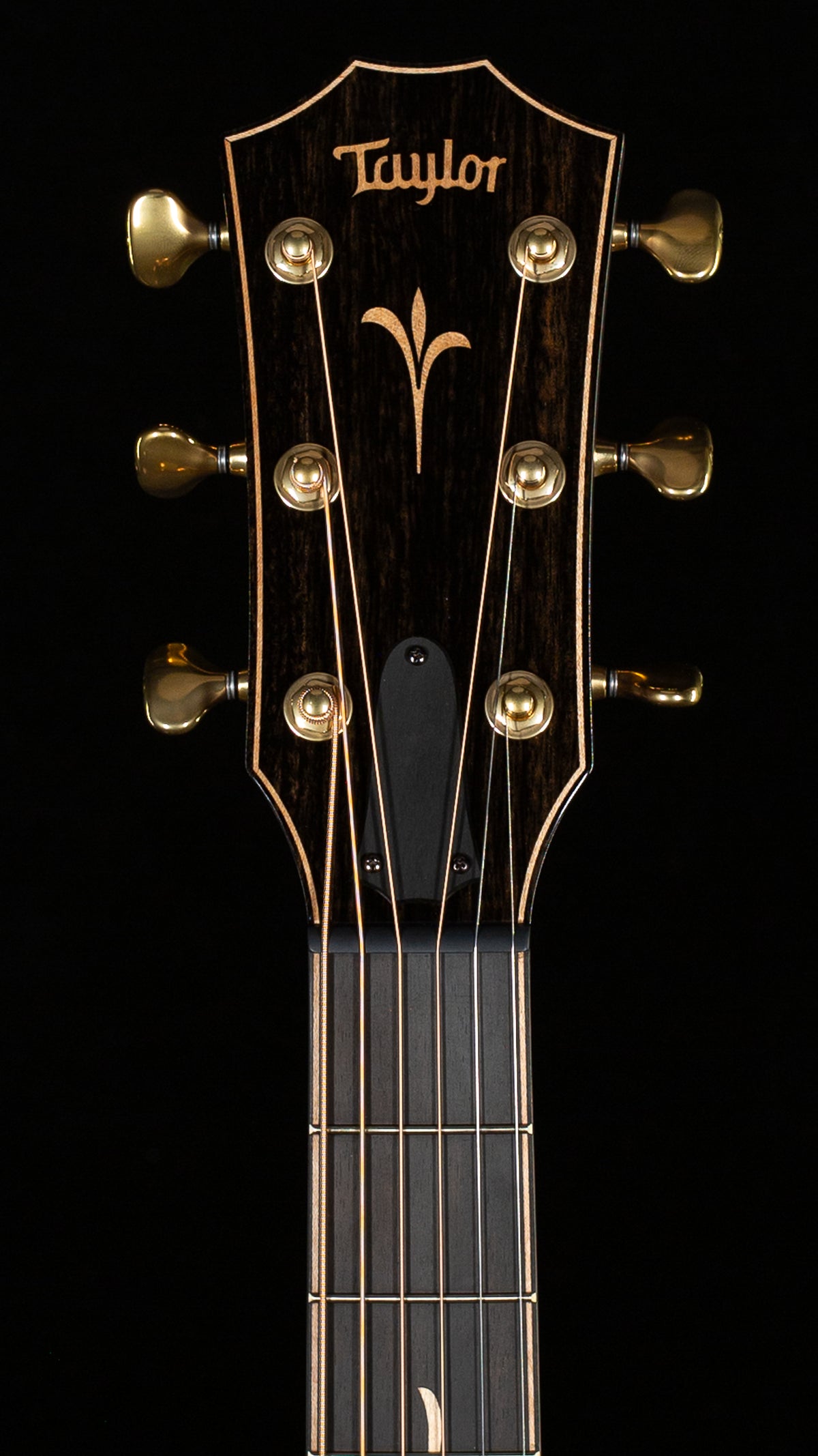 Taylor K24ce Koa (043)