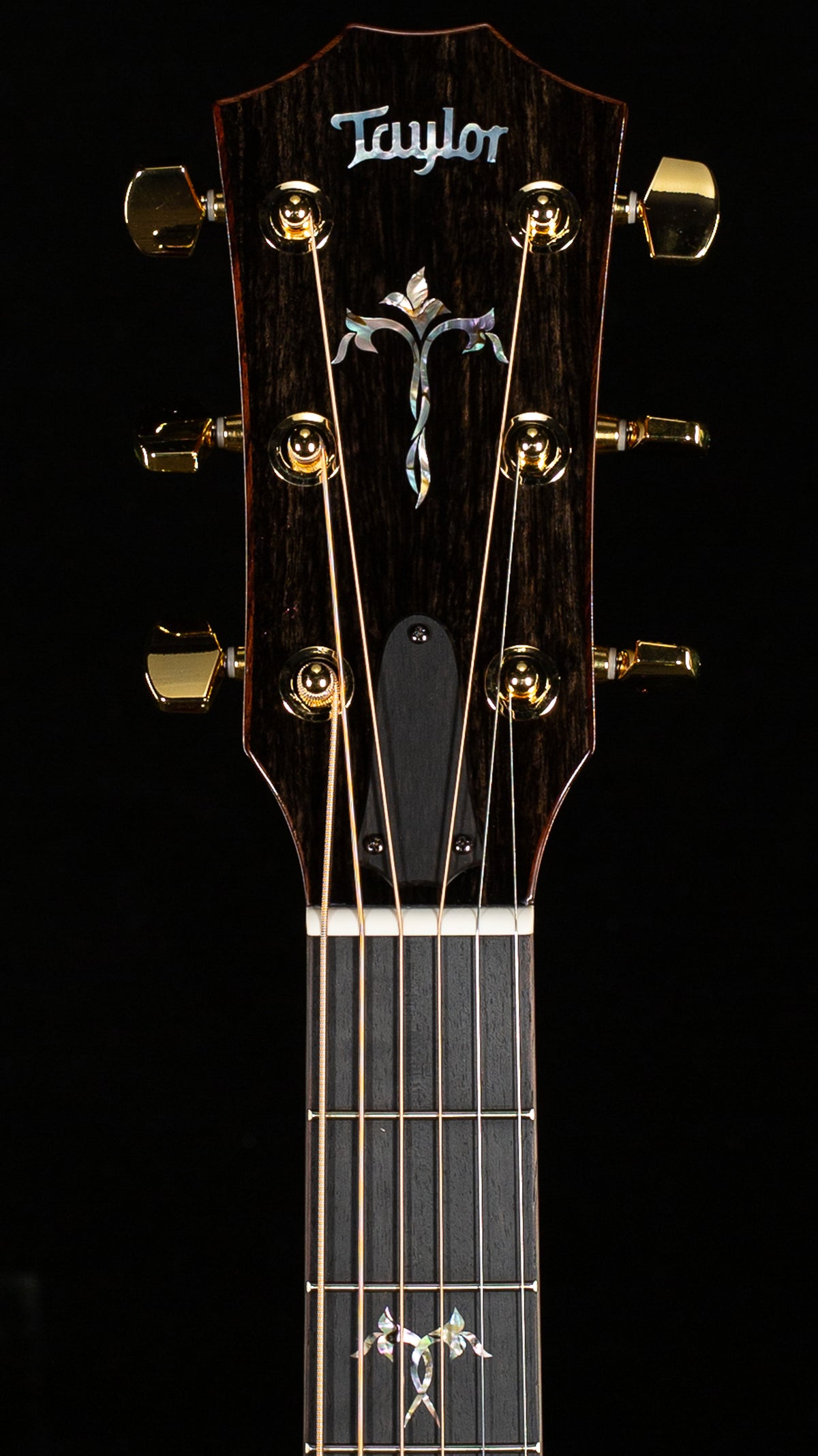 Taylor Legacy 914ce Engelmann Spruce/Indian Rosewood (058)