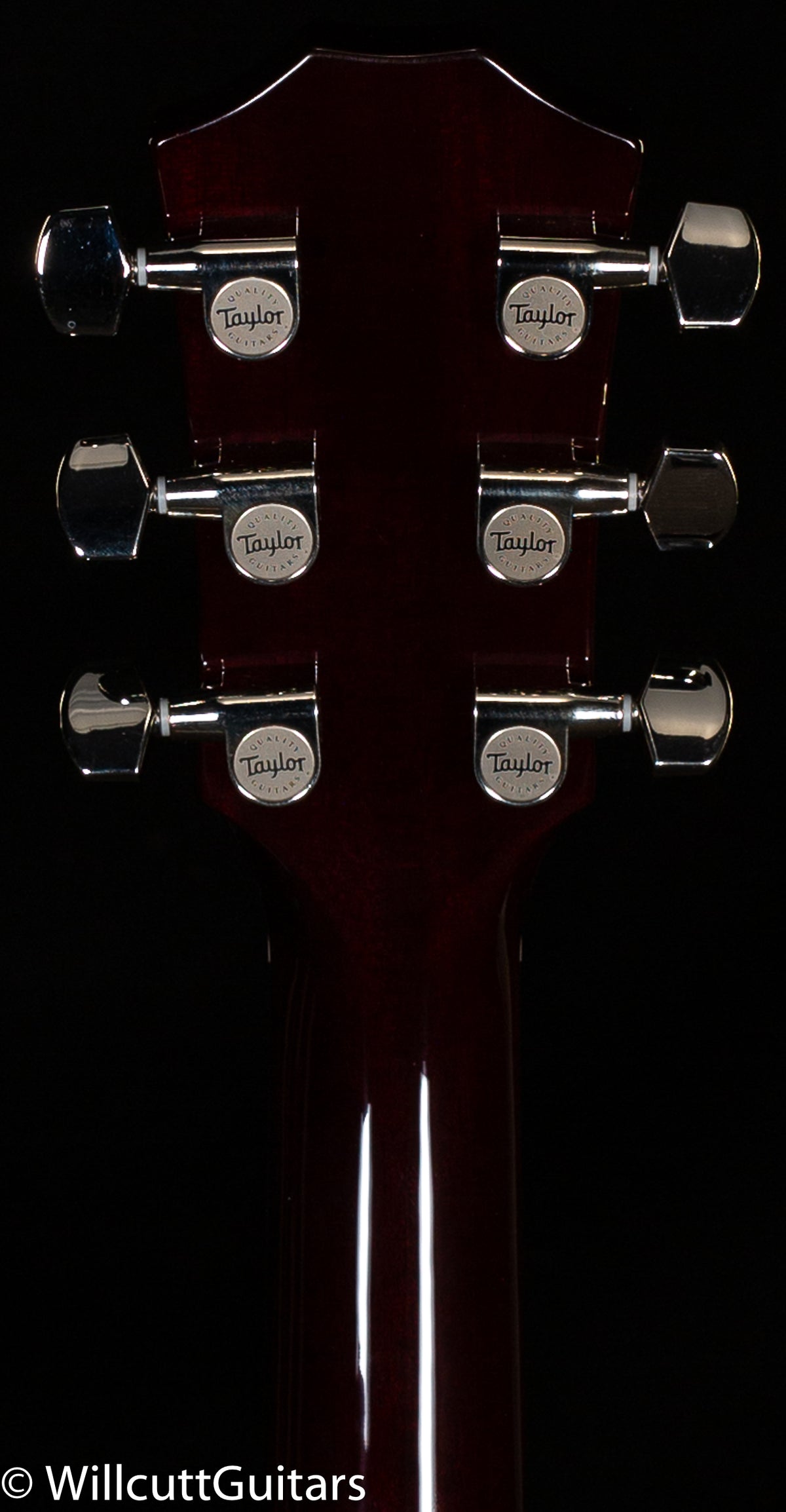 Taylor T5z Pro Tobacco Sunburst (003)